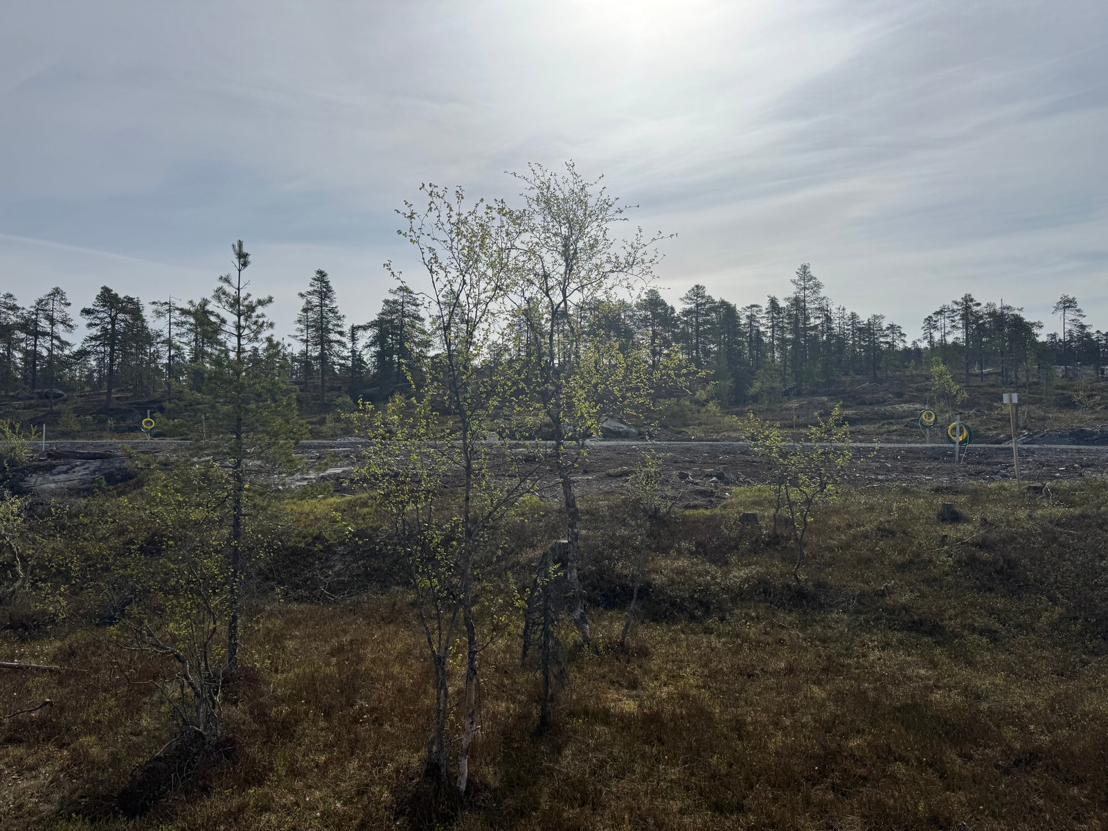 Fra tomten Galleribilde