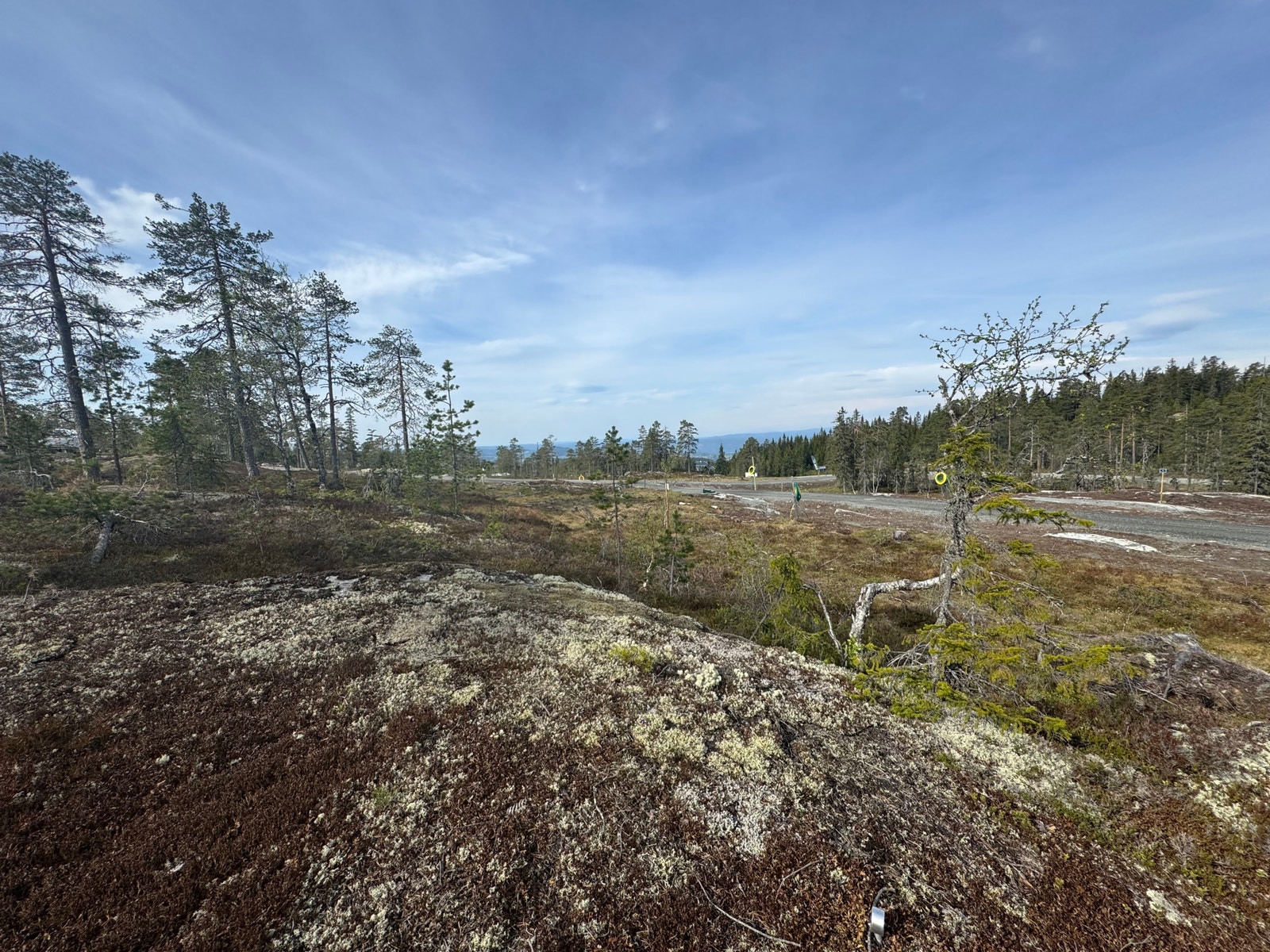 Fra Tomten Galleribilde