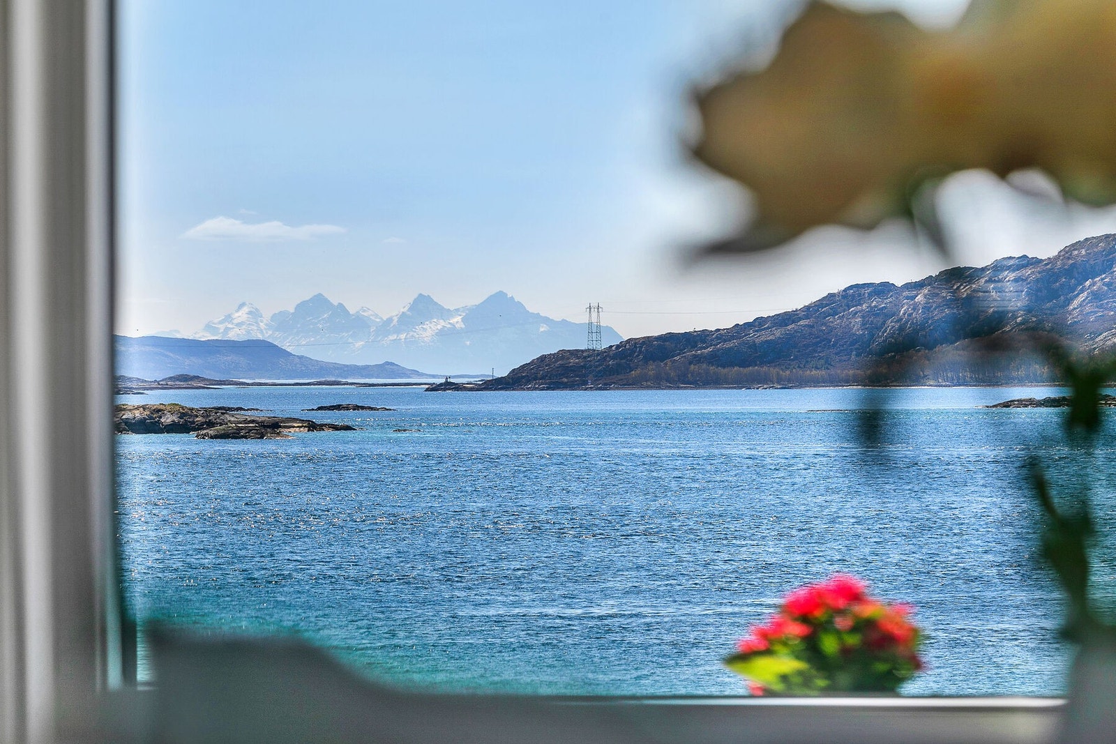 Stue Utsikt Galleribilde