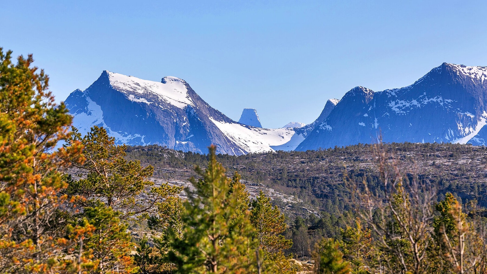 Utsikt mot Efjordfjellene Galleribilde