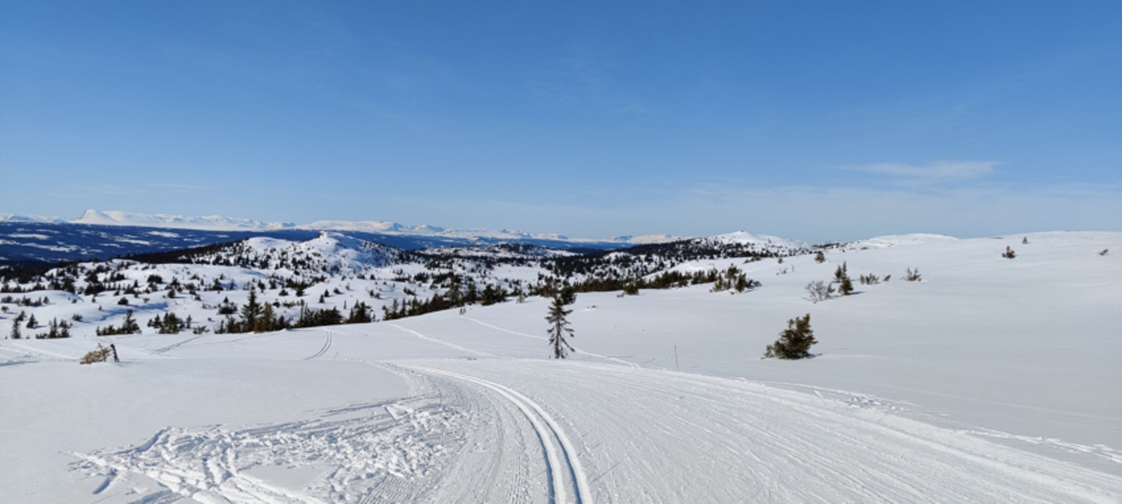 Kort vei til skiløyper på vinterstid. Galleribilde