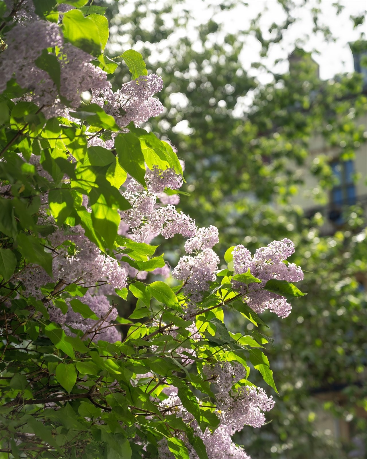 Varmtvann/fyring er inkludert i felleskostnadene. Galleribilde
