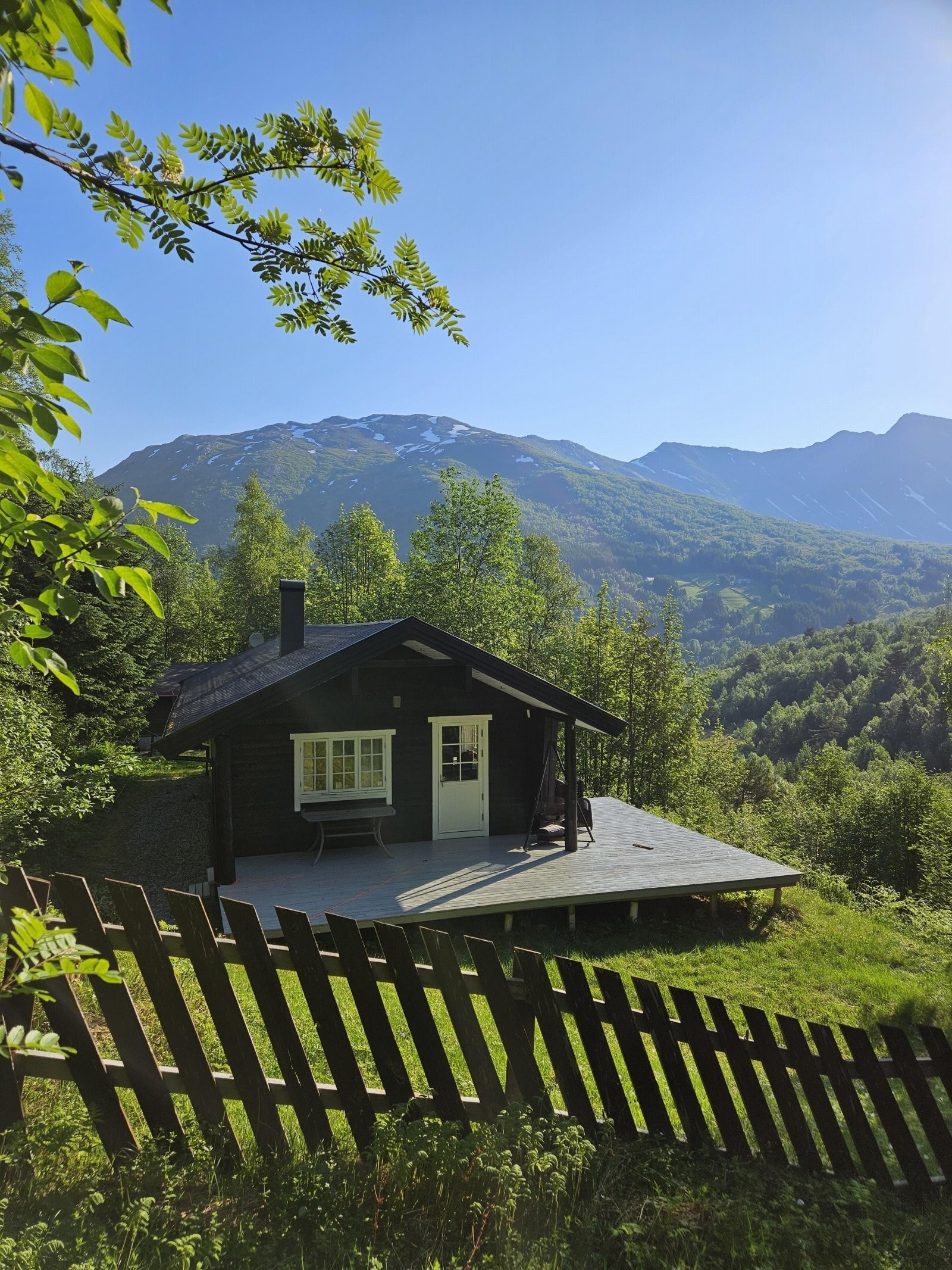 Bilde fra selger Galleribilde