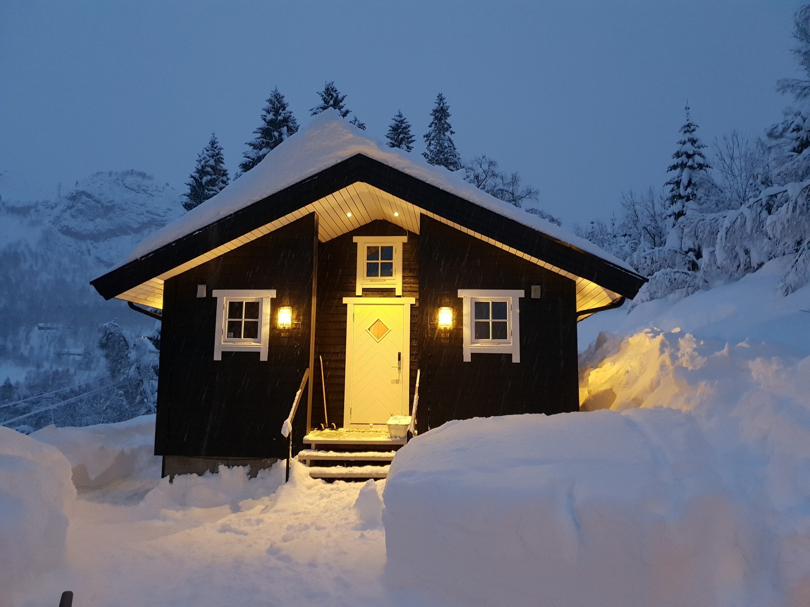 Bilde fra selger Galleribilde