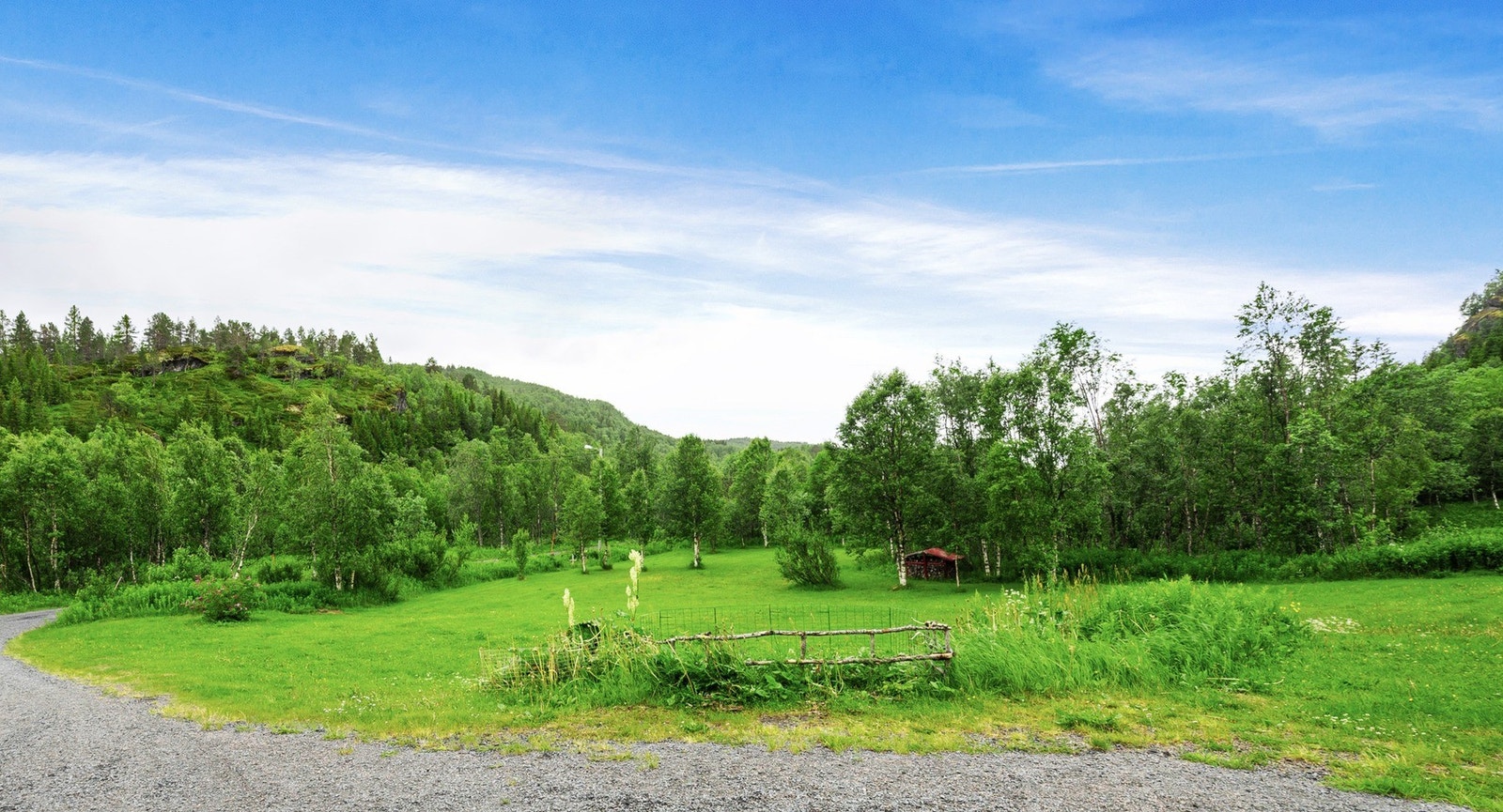 Stor parklignende hage Galleribilde