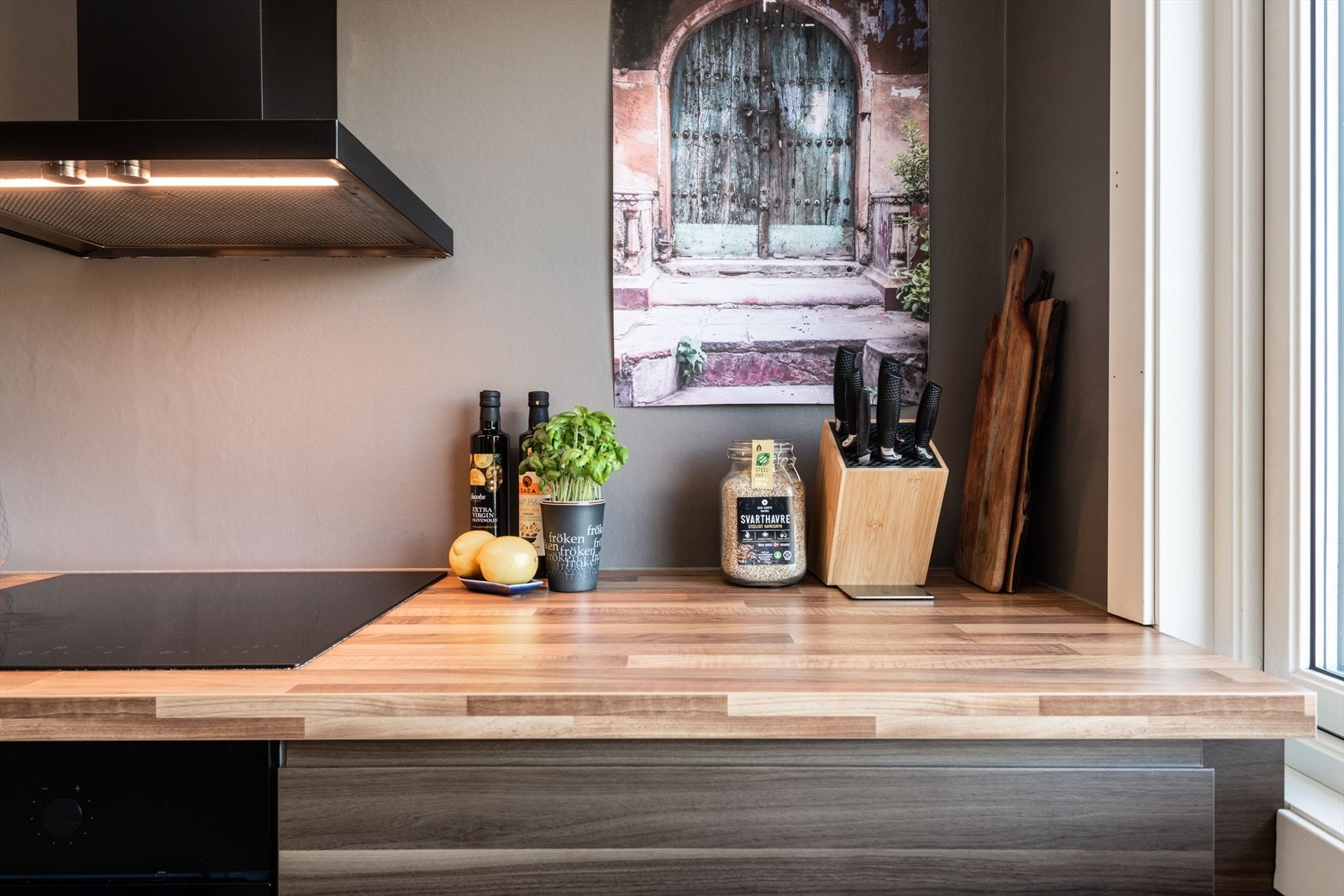 Induksjonstopp og ventilator med kullfilter. Galleribilde