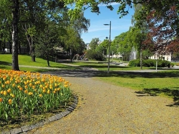 Parken i umiddelbar nærhet Galleribilde