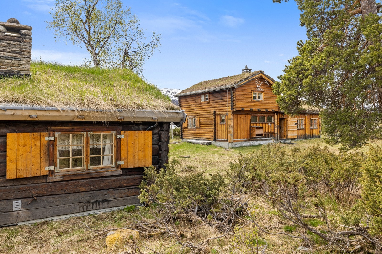 Fasade mor nord til anneks og mot hovudhytta Galleribilde