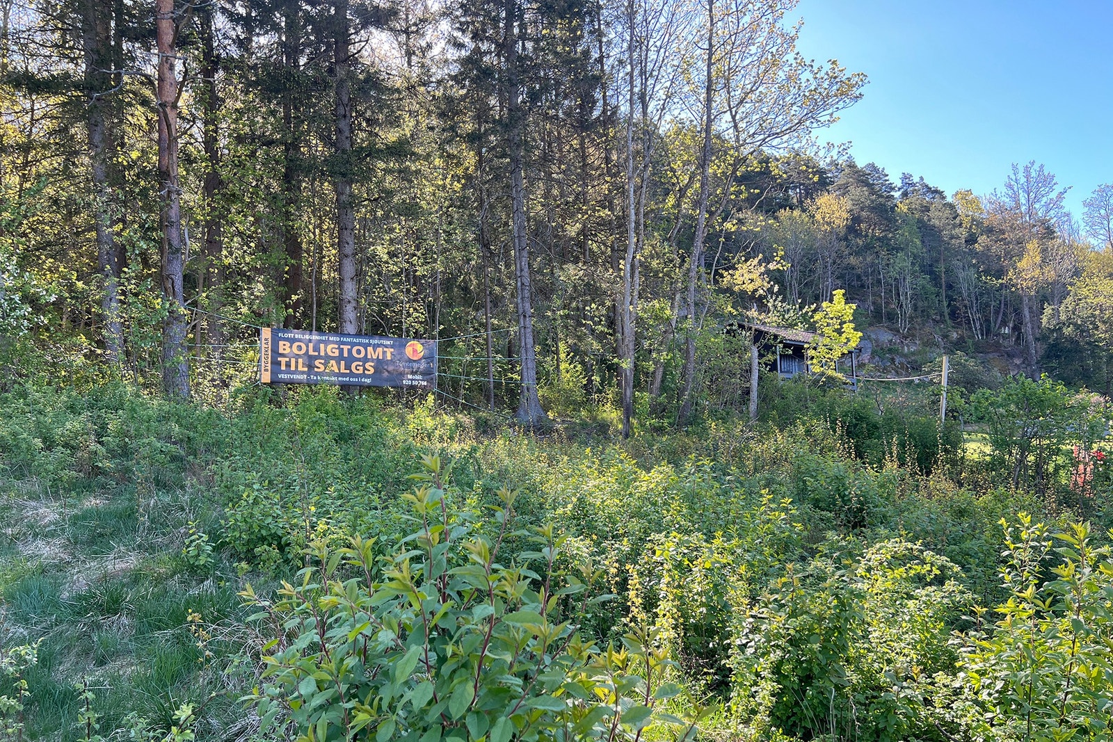 Ingen naboer i bakkant Galleribilde