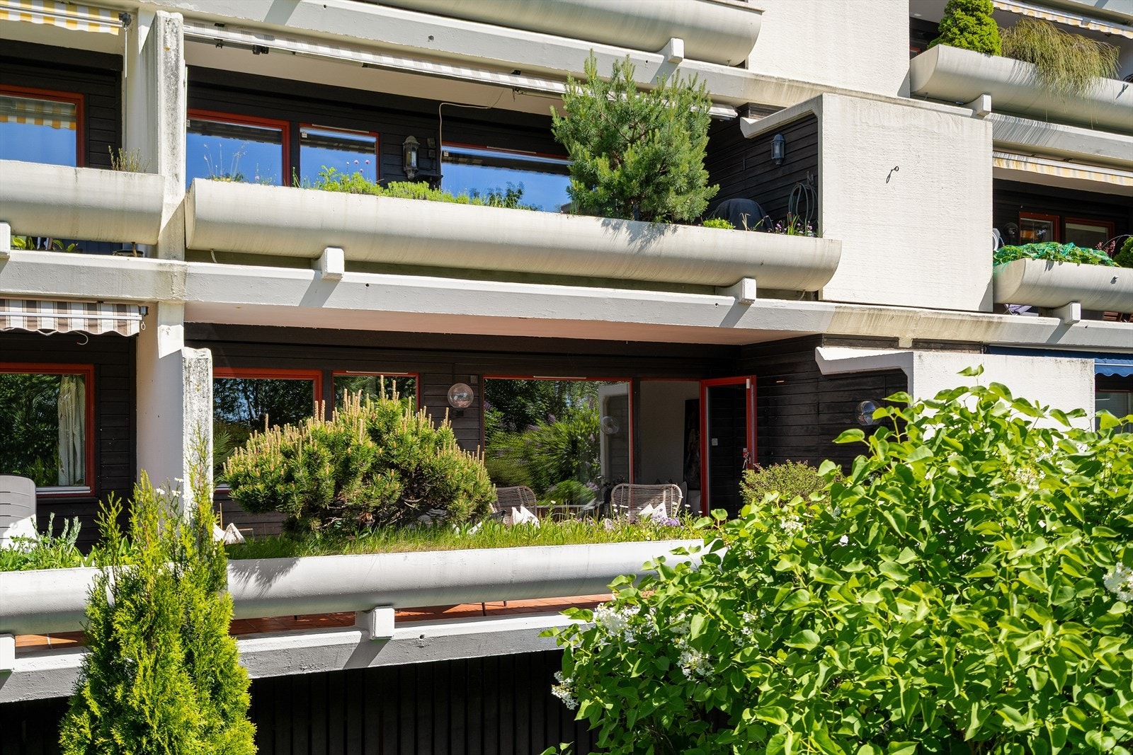 Terrasse Galleribilde