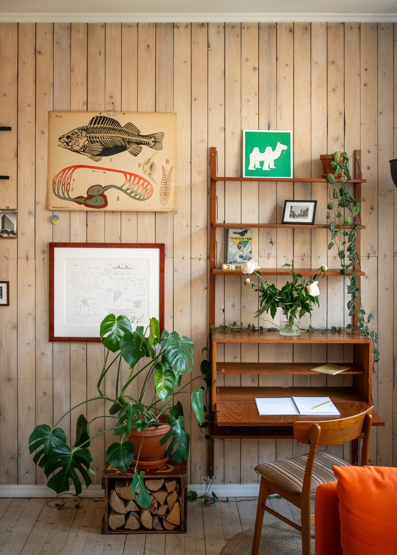 Stuen har lysmalte vegger, hvor én vegg er kledd med panel - et stilfullt innslag som tilfører særpreg og karakter til boligen. Galleribilde