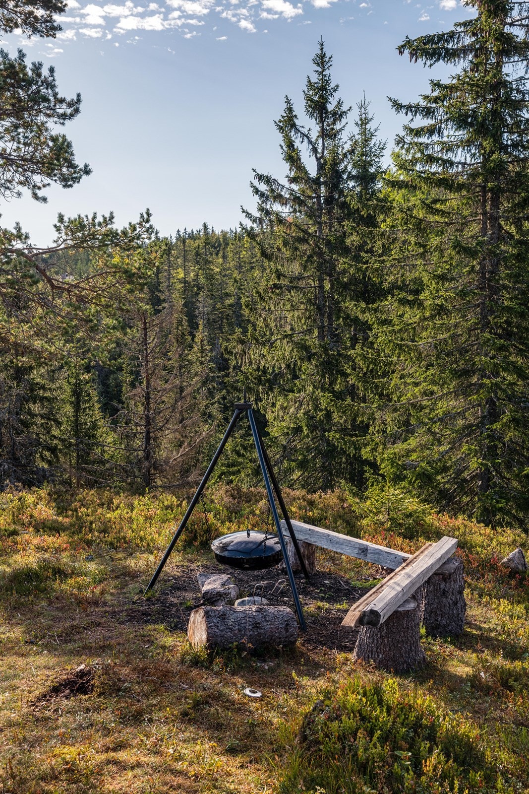 Stor og flott naturtomt med skog, lyng og mose - hvor det er god boltreplass for store og små, sommer som vinter! Galleribilde