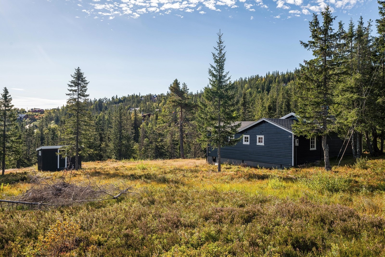 Eiet tomt på 4417.7 m2. Tomten har meget gode utviklingsmuligheter! Galleribilde