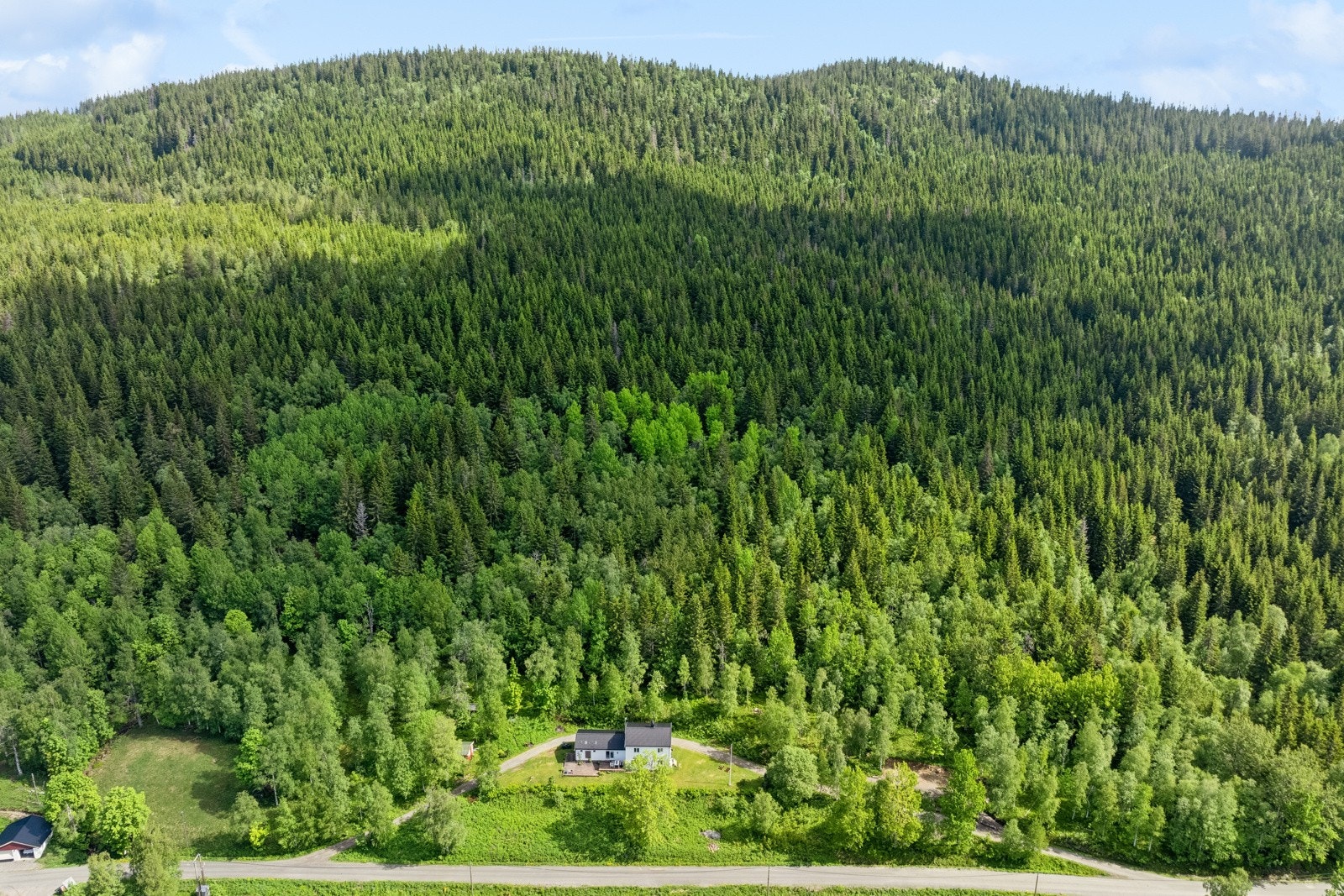 Området har også flere småvann i skogene, og det er et godt nettverk av turstier, inkludert den historiske Pilegrimsvegen til Eidsvoll. Galleribilde