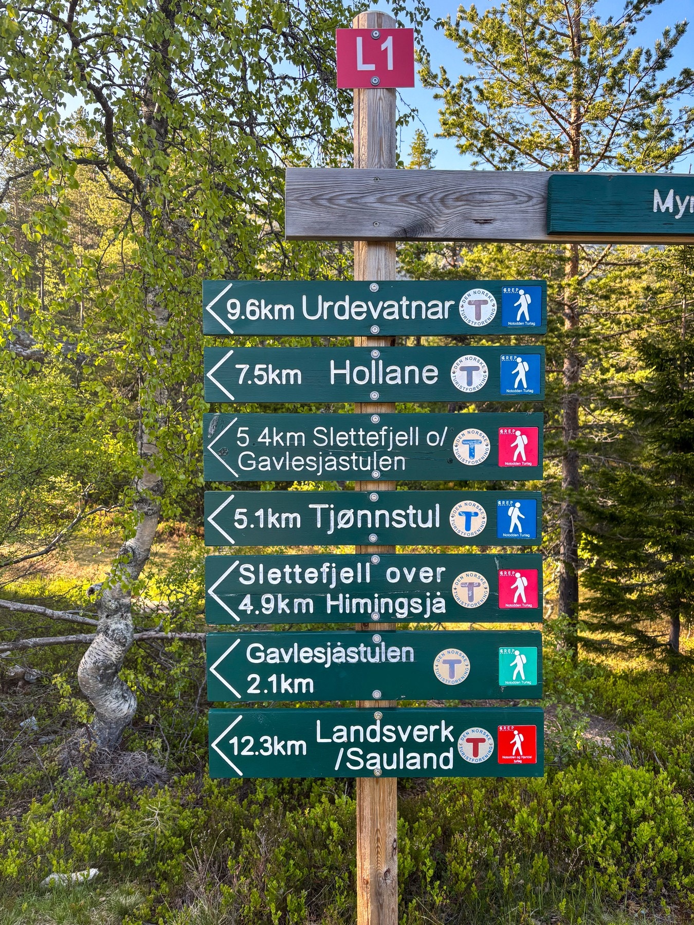 Flotte turmuligheter både sommer og vinter, Galleribilde