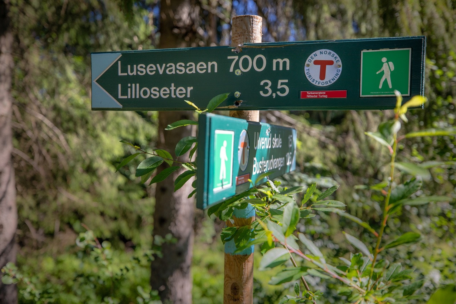 Det er flotte turområder i Lillomarka, Romeriksmarka og Nordmarka. Galleribilde