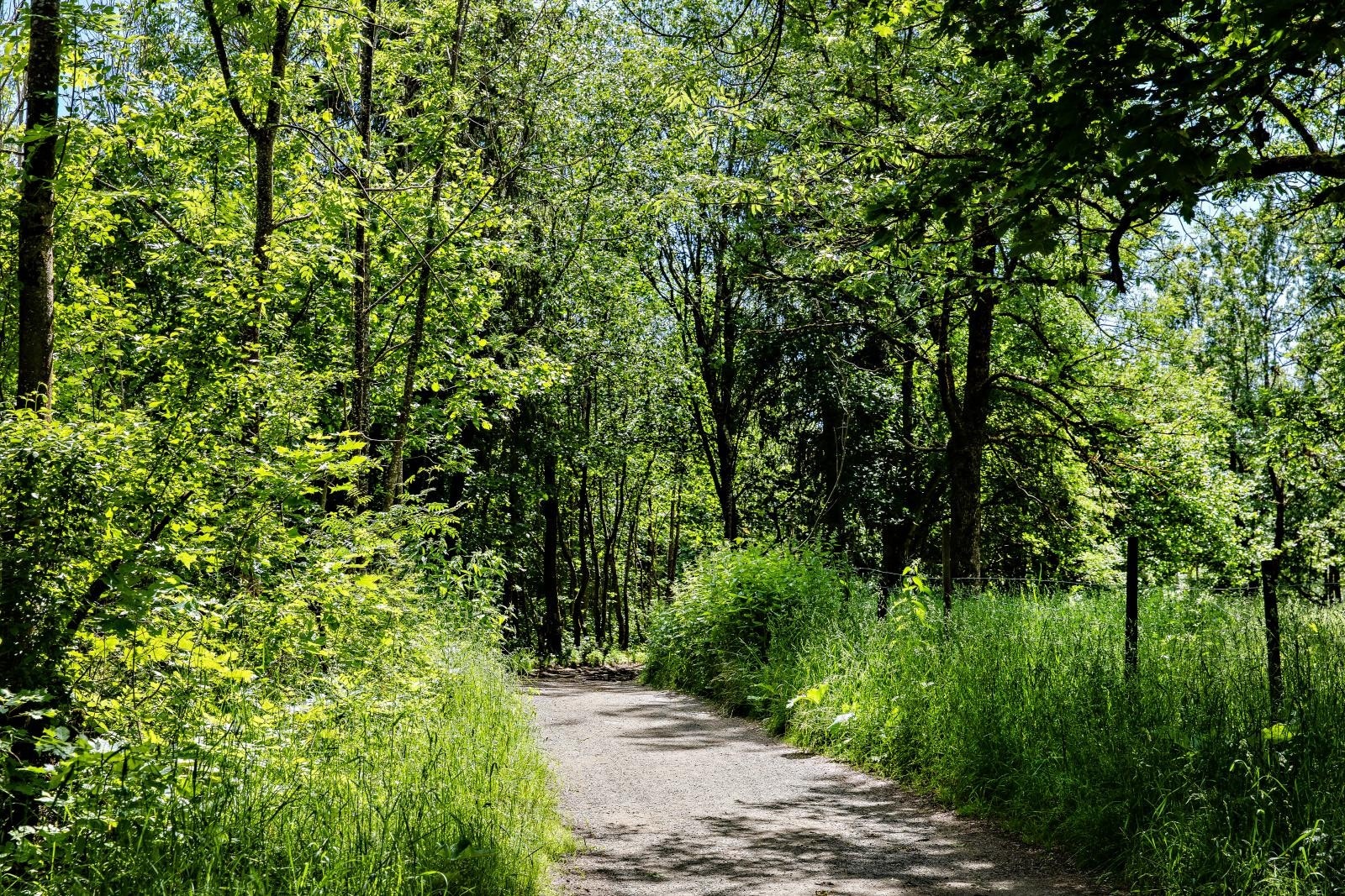 Her er det fine fine turstier i idylliske omgivelser - med tilknytning videre mot marka Galleribilde