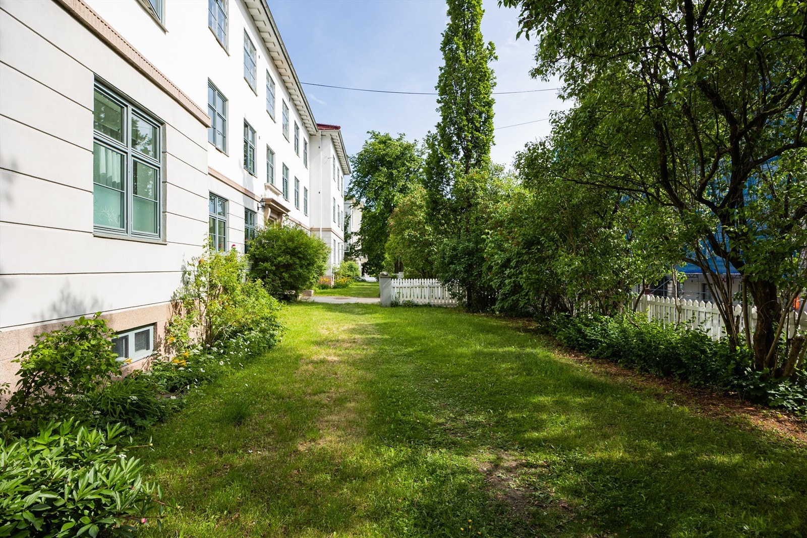 Grønn og frodig felles forhage. Galleribilde