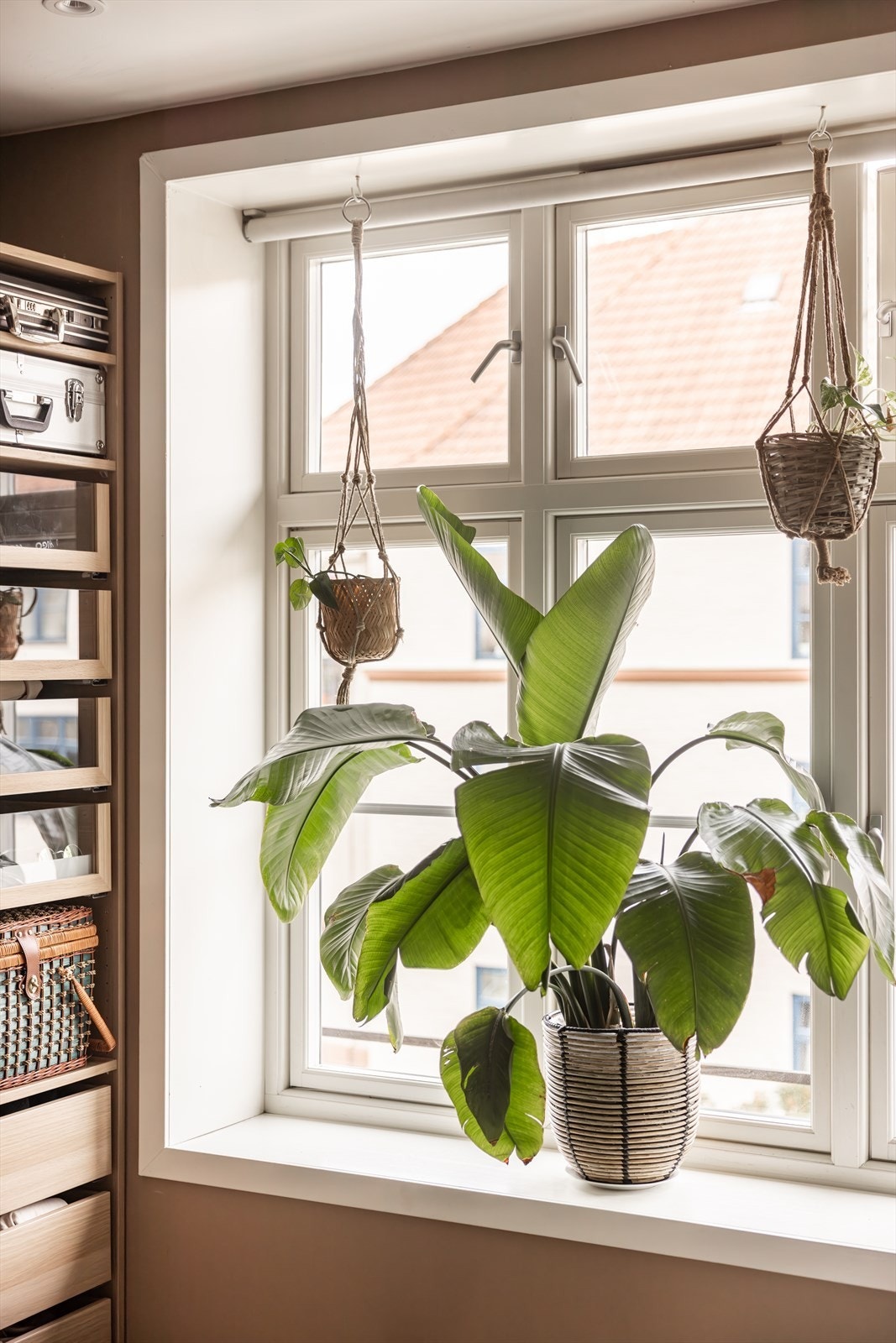 Også her har du de nydelige vinduene fra 2016. Galleribilde