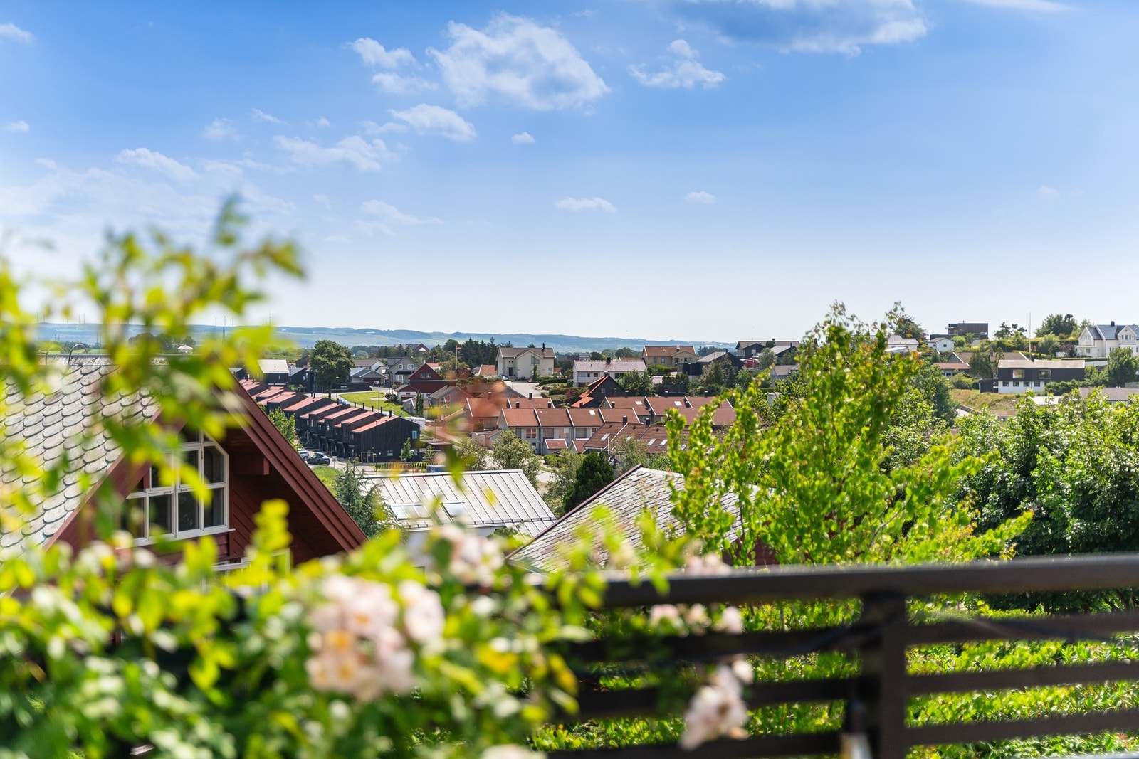 Vidstrakt utsikt Galleribilde