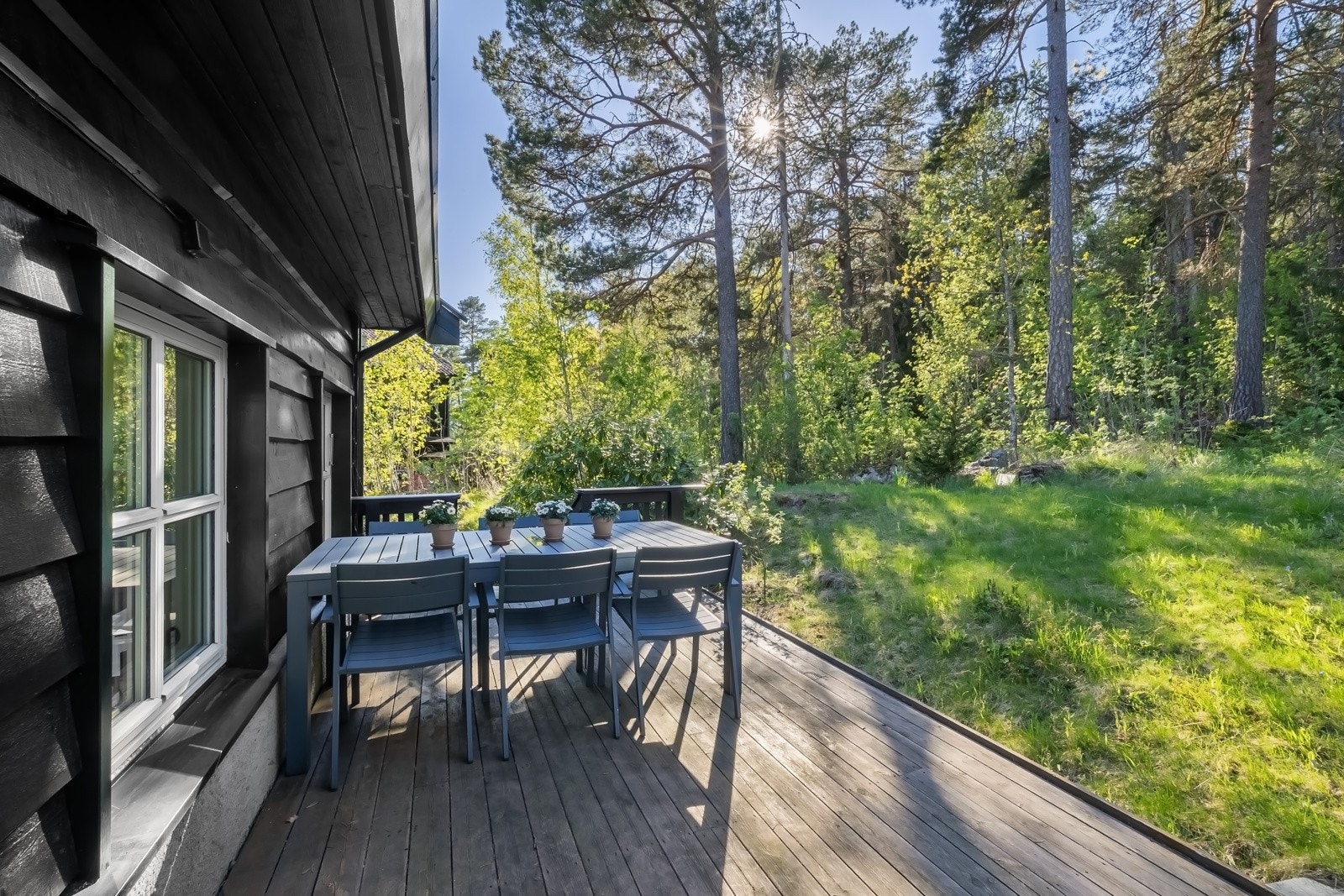 Stor og koselig markterrasse (ca 13 kvm) mot skogen, like utenfor kjøkkeninngangen/vaskerommet. Galleribilde