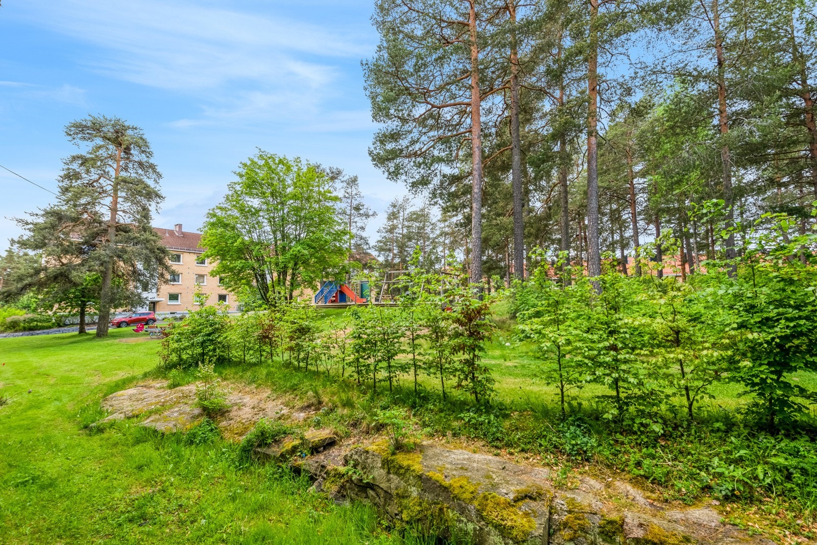 Store, fine grøntarealer i borettslaget. Galleribilde