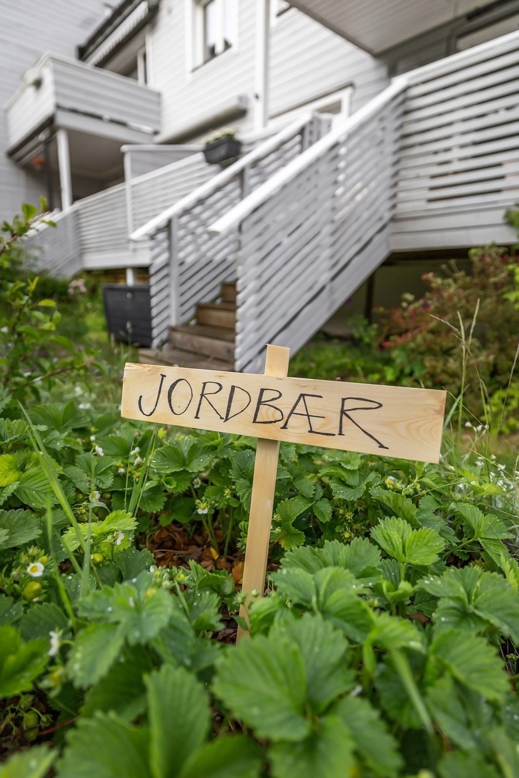 Her er det også muligheter for dyrking med egne pallekarmveksthus, bærbusker og potet/grønsaksåker! Galleribilde