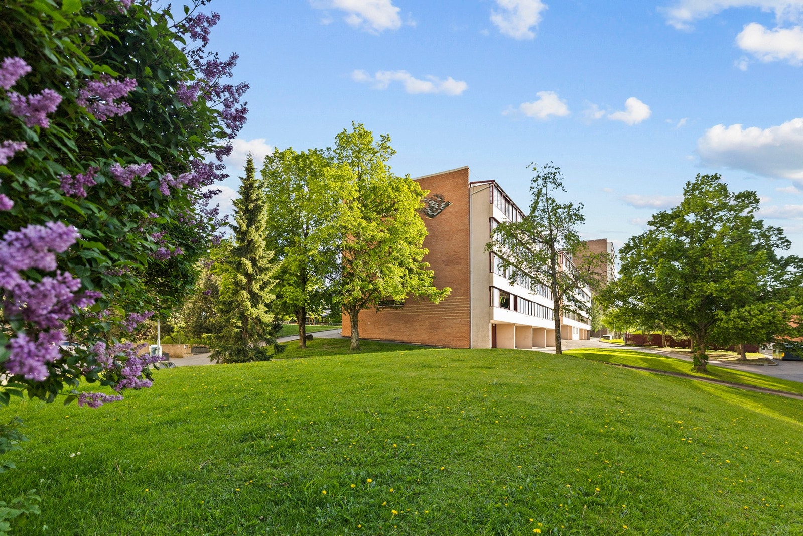 Store frodige grøntområder på eiendommen Galleribilde