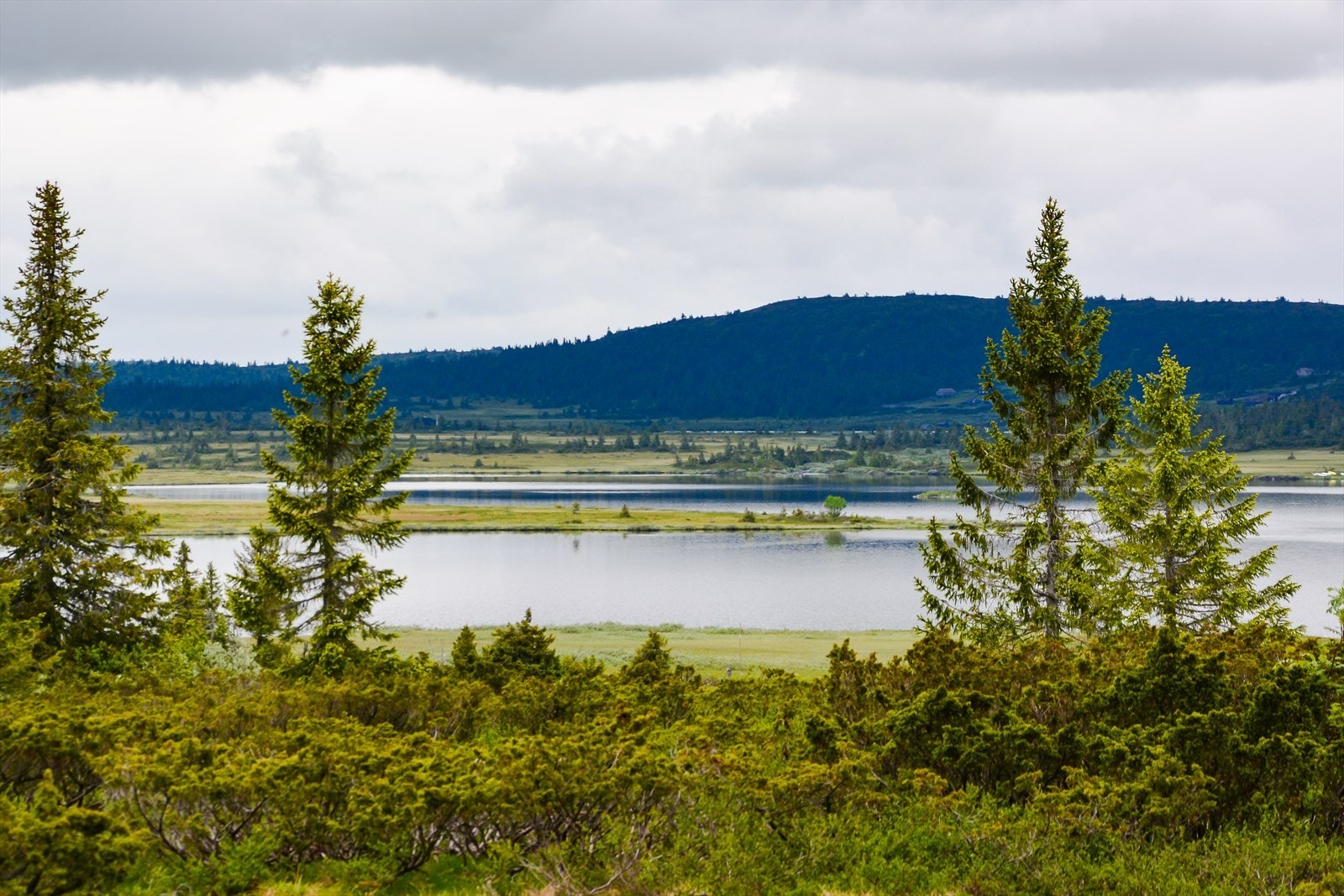 Vakre omgivelser og flott fjellandskap. Galleribilde