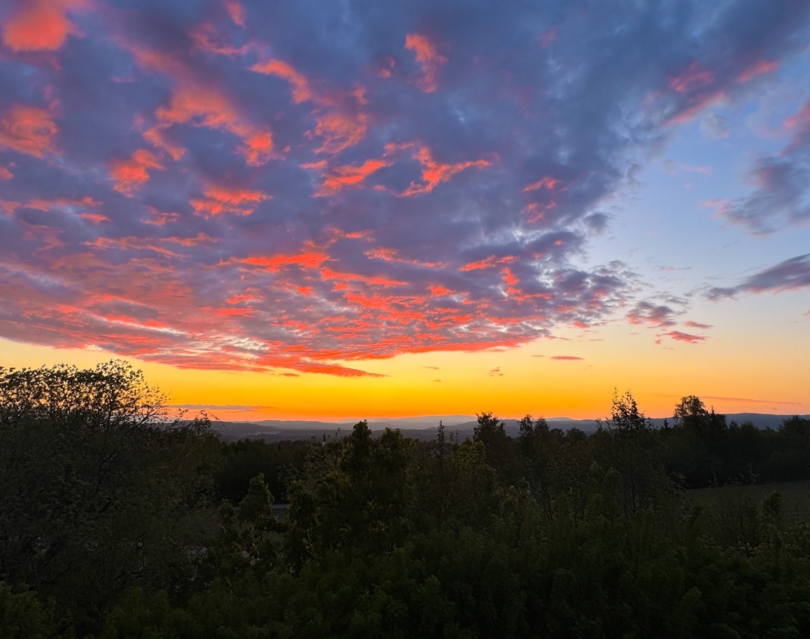 Solnedgang fra terrassen Galleribilde