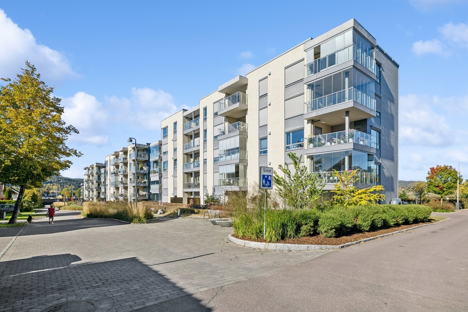 Sameiets eiendom er pent opparbeidet med sosiale soner og beplantning. Galleribilde