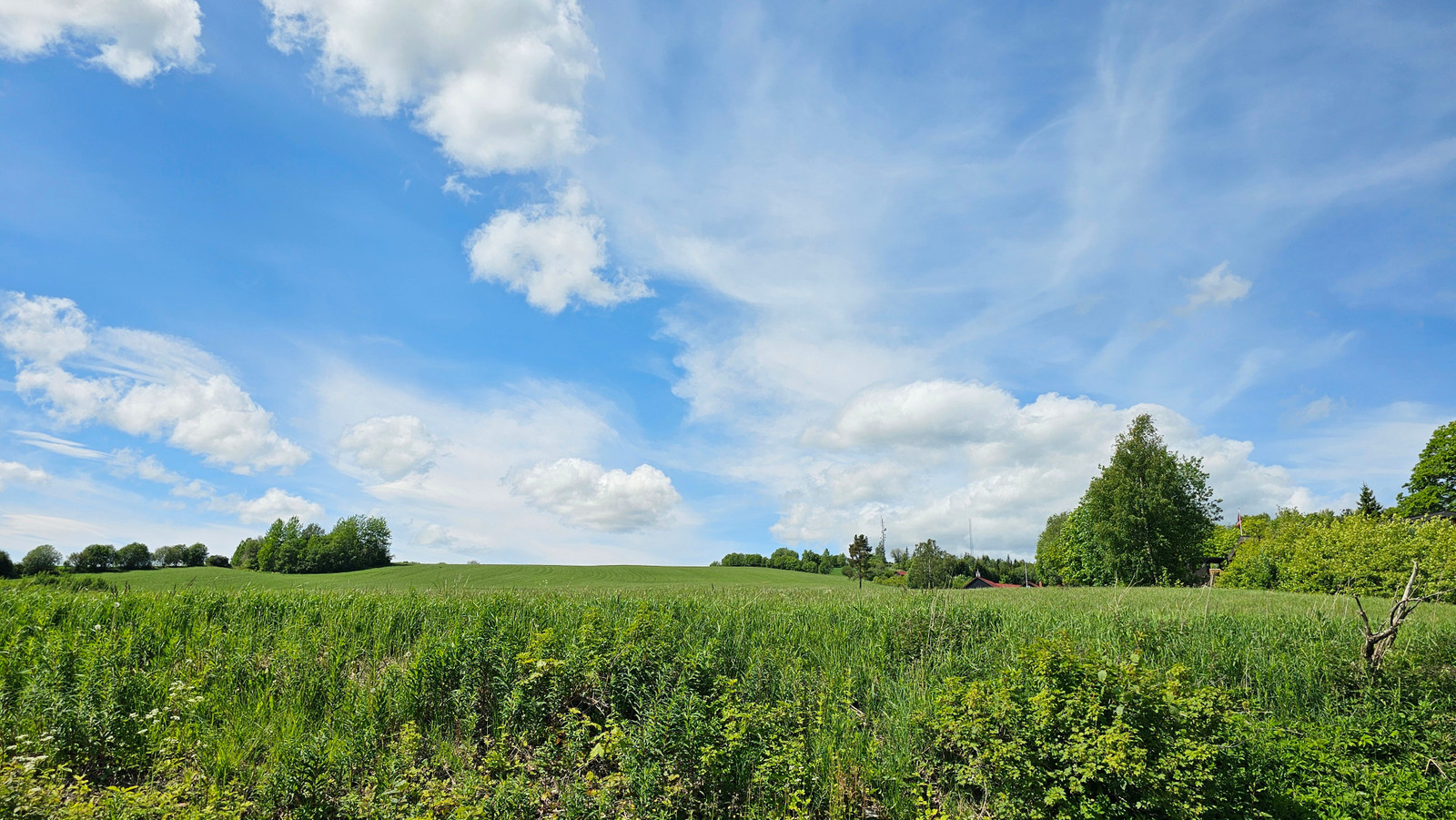Utsikt mot Bergstoppen sommer