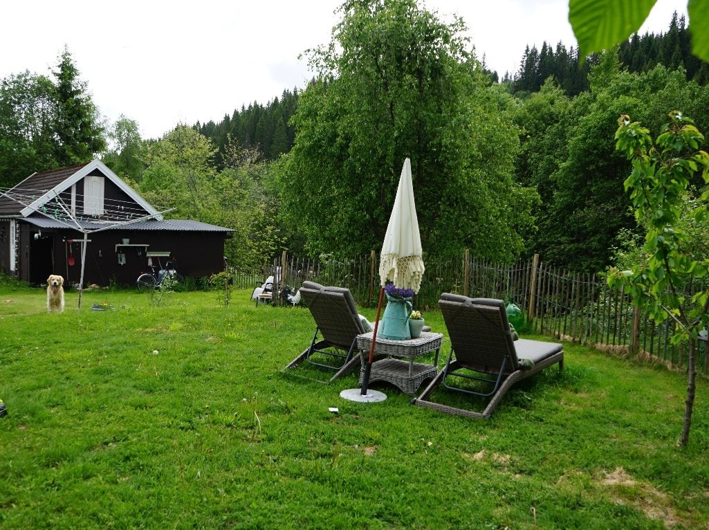 En herlig plass å nyte de fine soldagene. Galleribilde