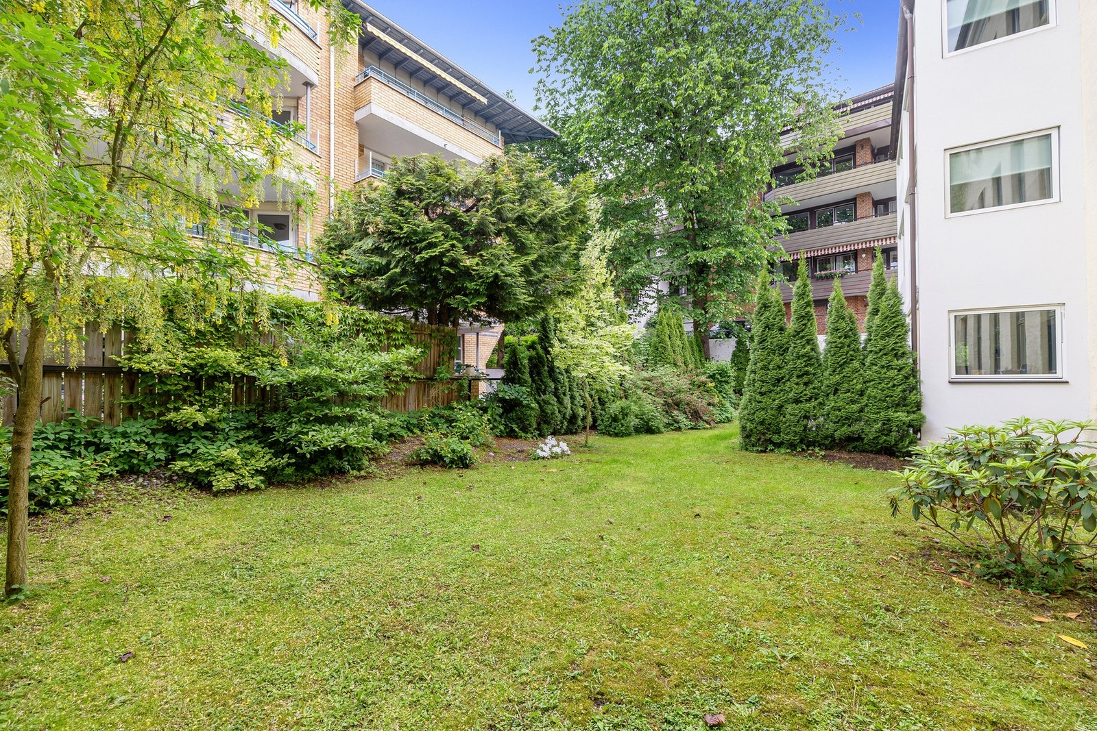 Sameiet har en felles, frodig bakgård/hage. Galleribilde