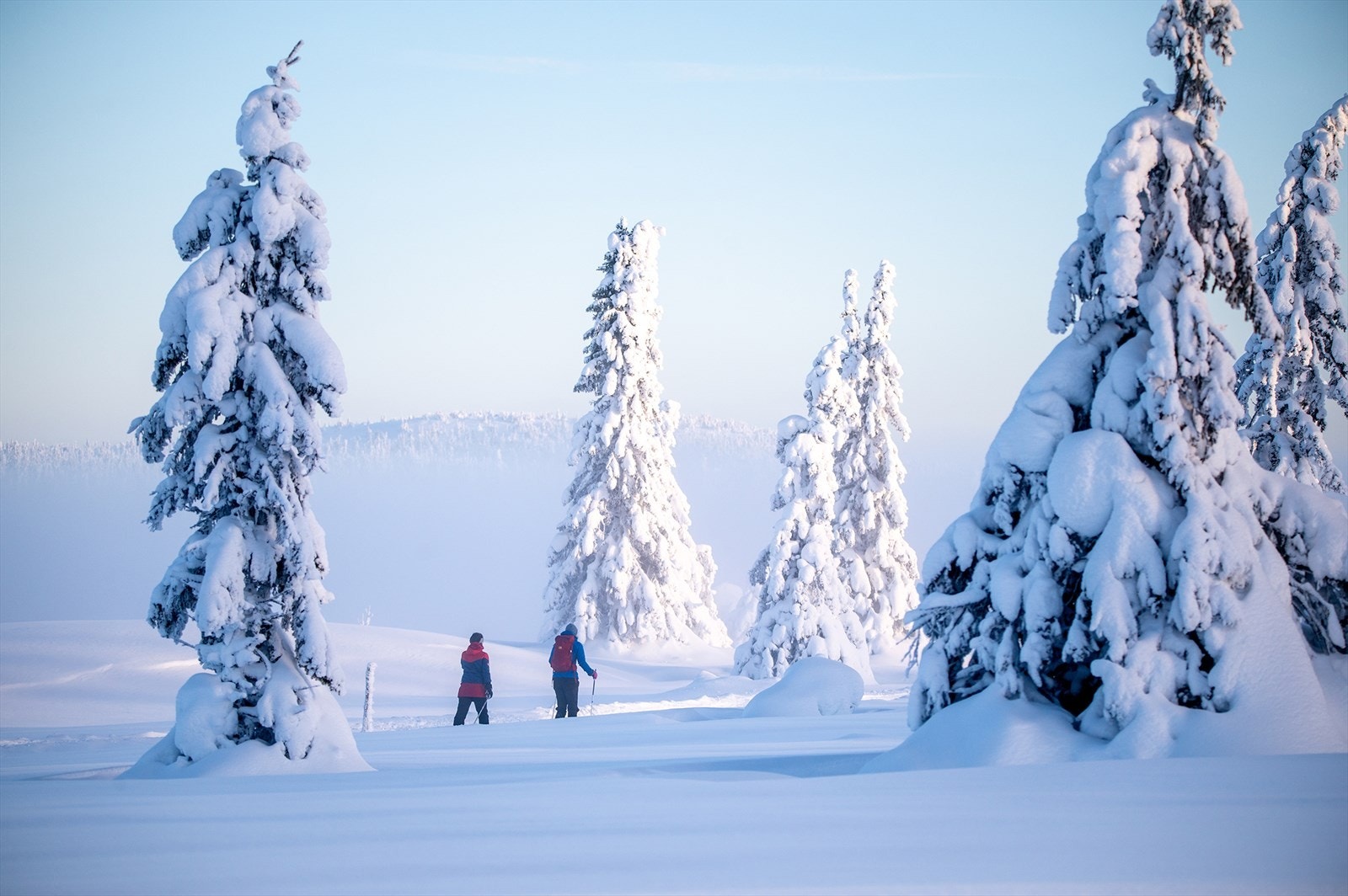 Vinterstemning ved fjellelva. Galleribilde