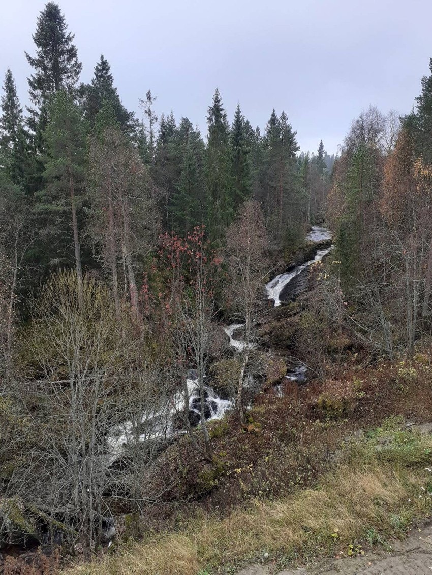 Utsikt mot Brannåa. Galleribilde