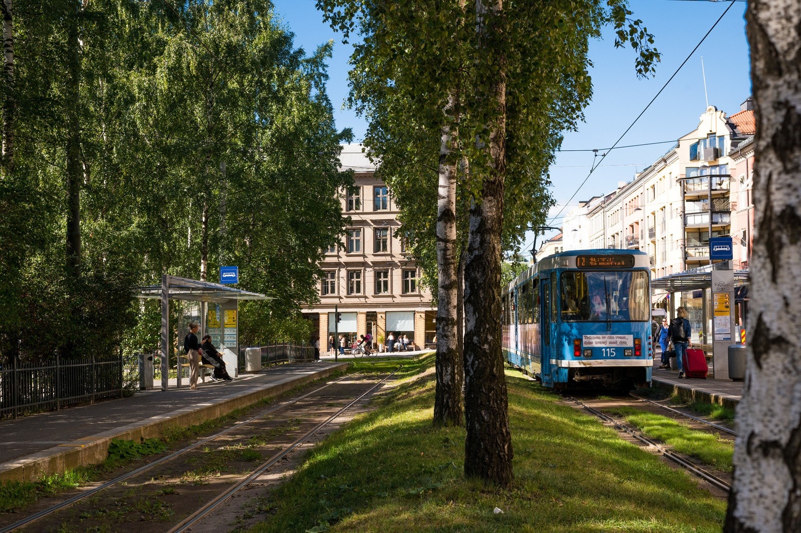 Næromåde - Birkelunden. Galleribilde