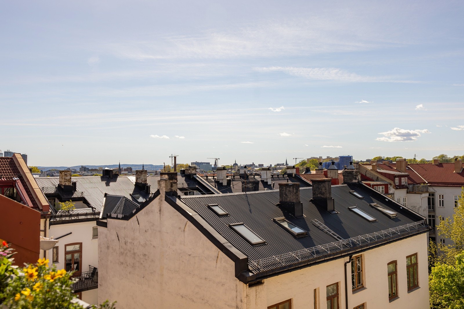 Utsikt over Oslos tak! Galleribilde