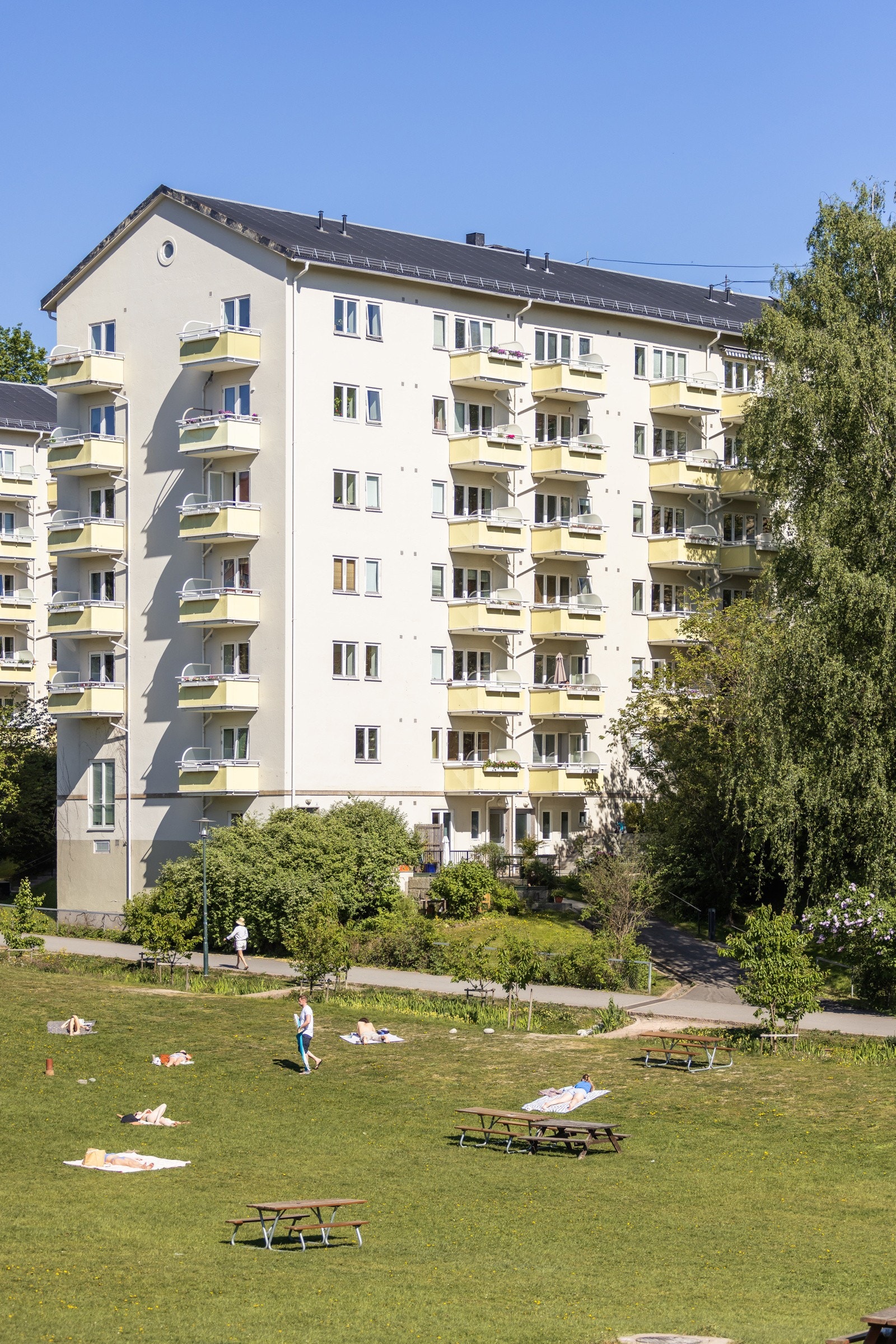 Her bor du i et veldrevet borettslag som består av 142 leiligheter. Galleribilde