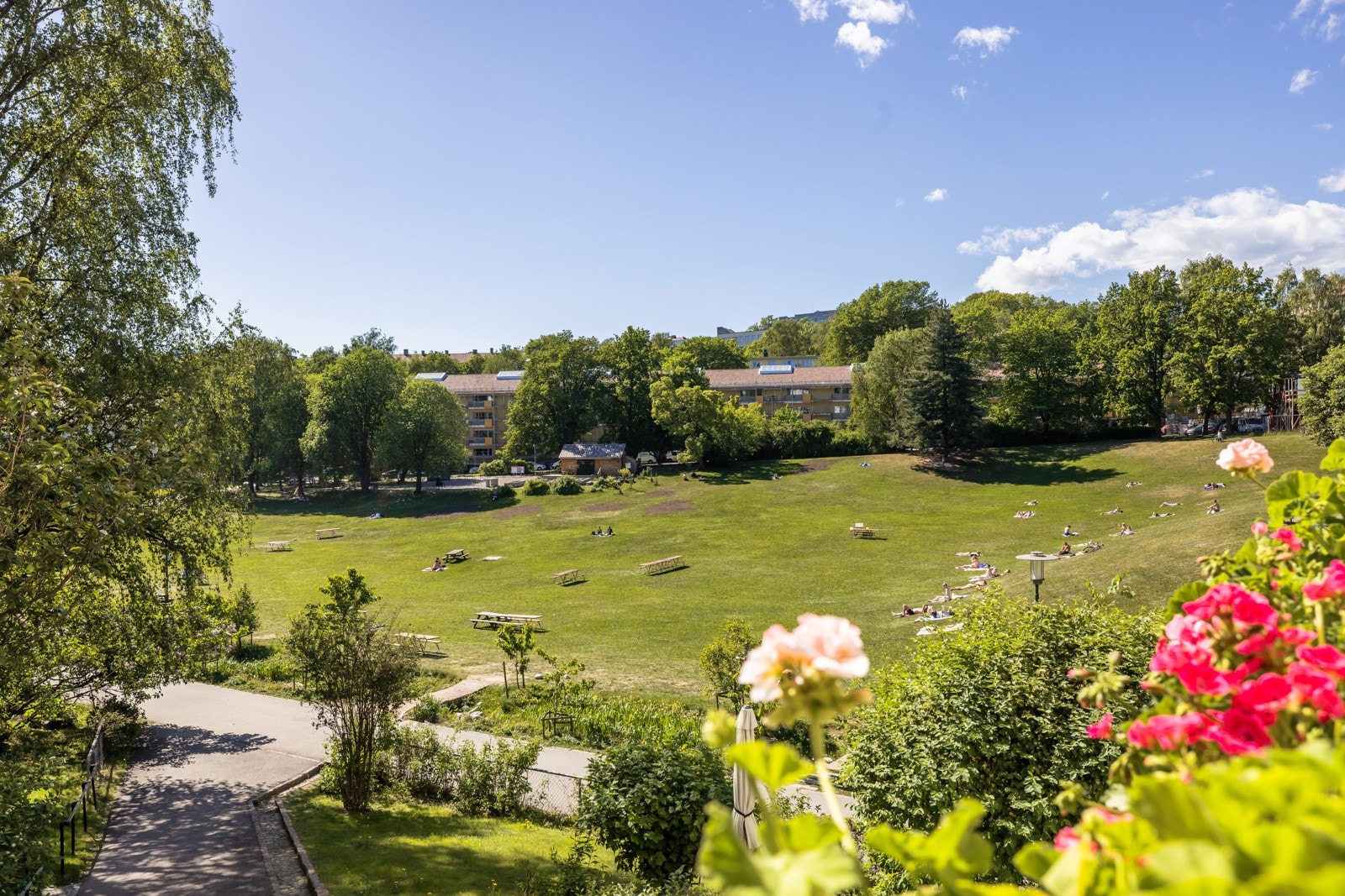 Her sitter du fint til med nydelig utsikt over store, flotte og frodige Ilaparken. Galleribilde