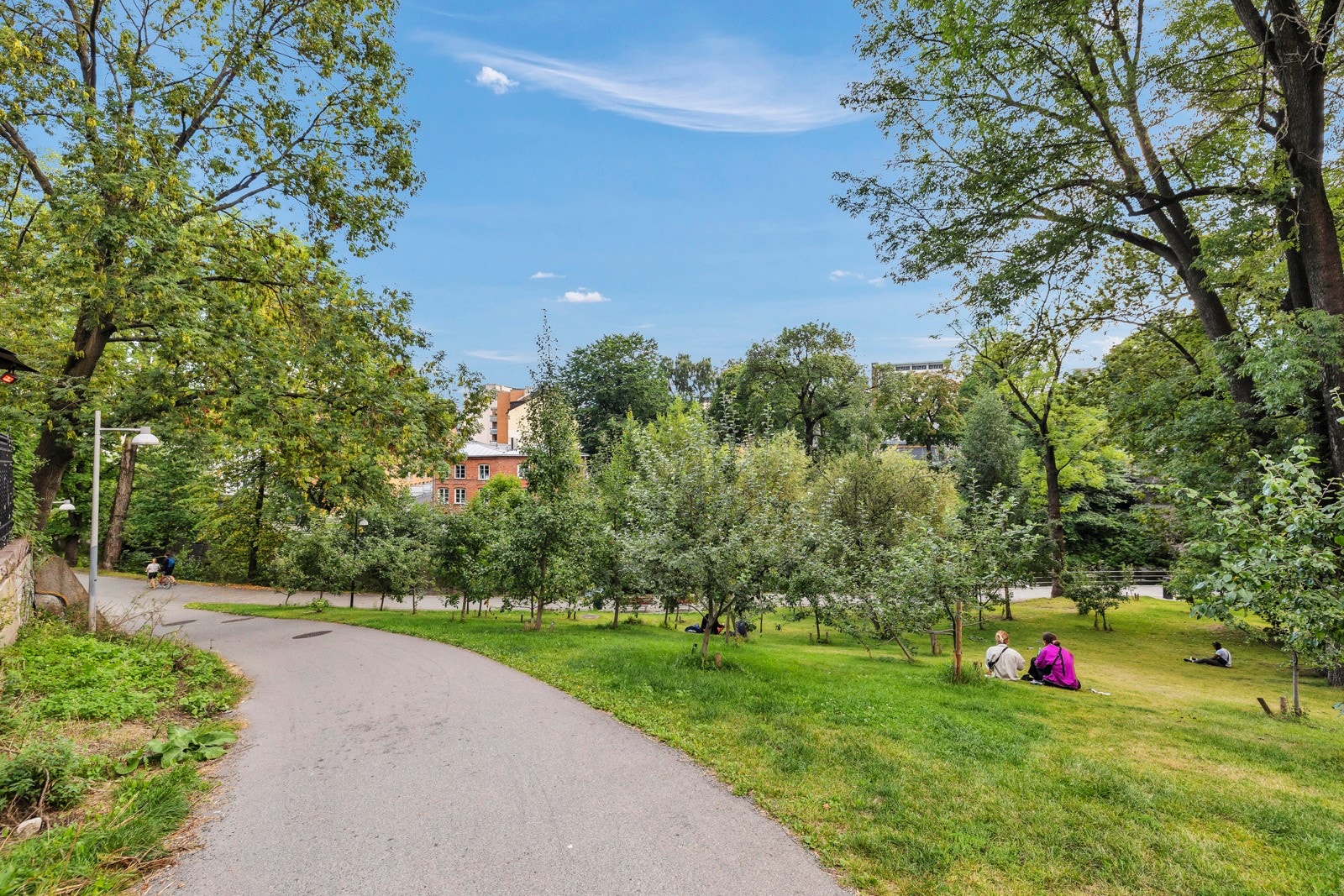 Område nedre løkka Galleribilde