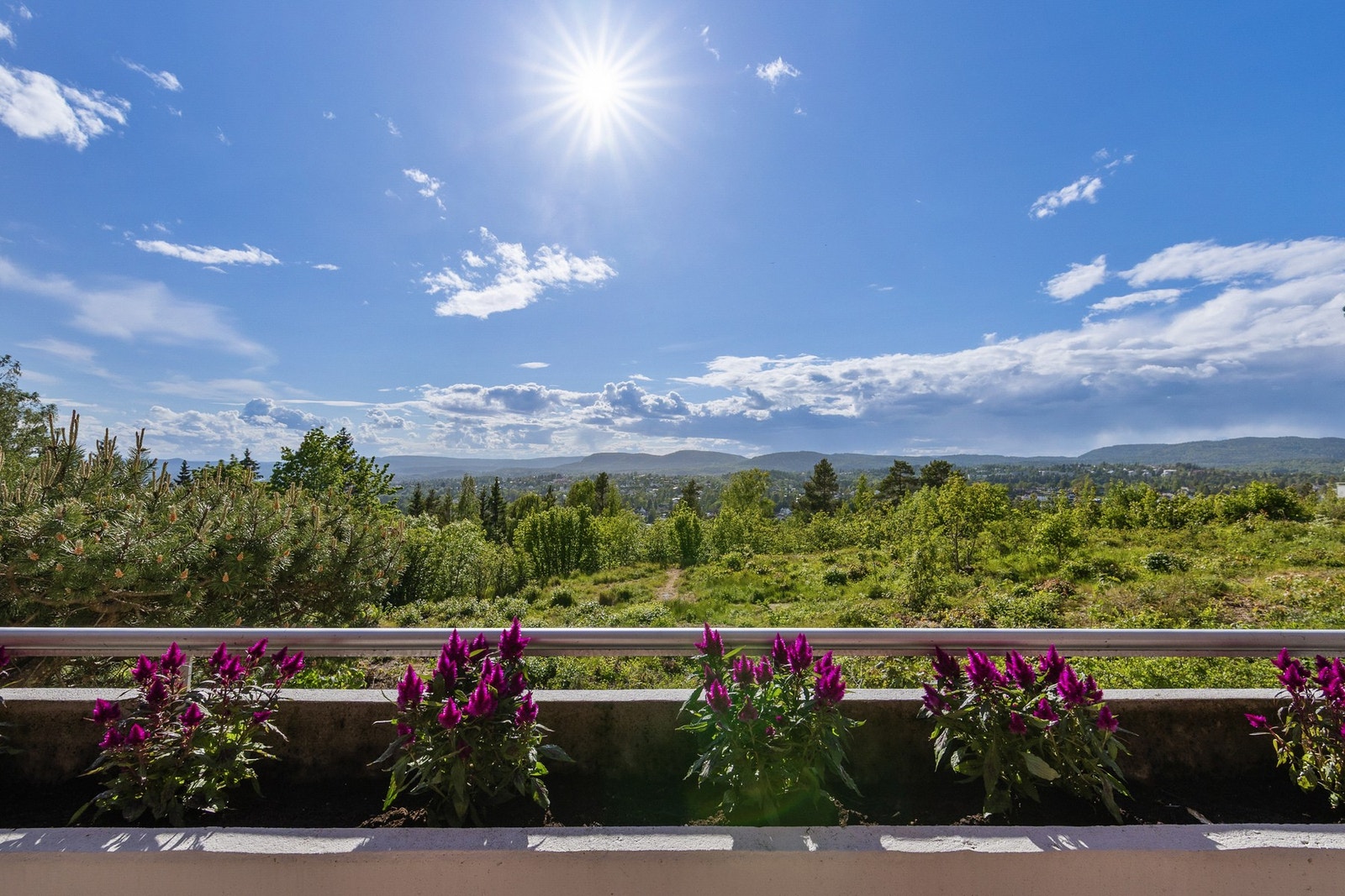 Eksemplarisk utsikt mot pene grøntområder og rolige omgivelser. Galleribilde