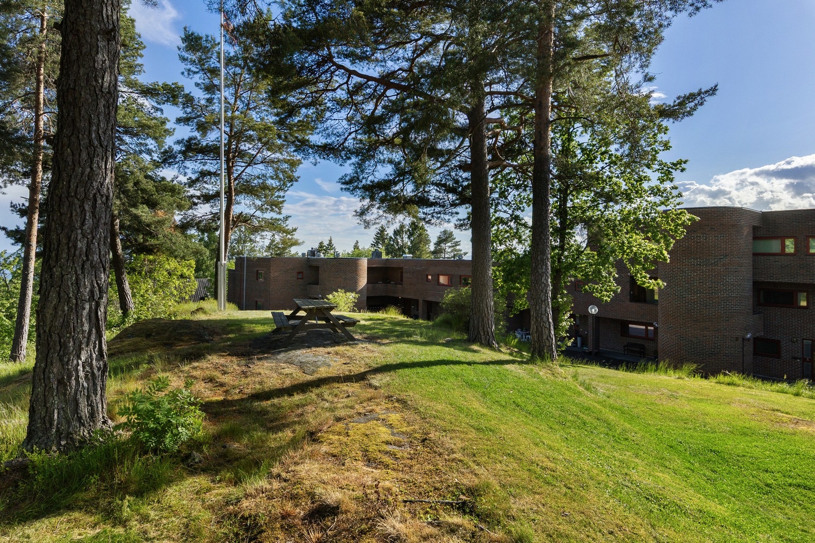 Sameiet er pent opparbeidet med blant annet asfalterte adkomst-/internveier, plenarealer, busker og trær. Galleribilde