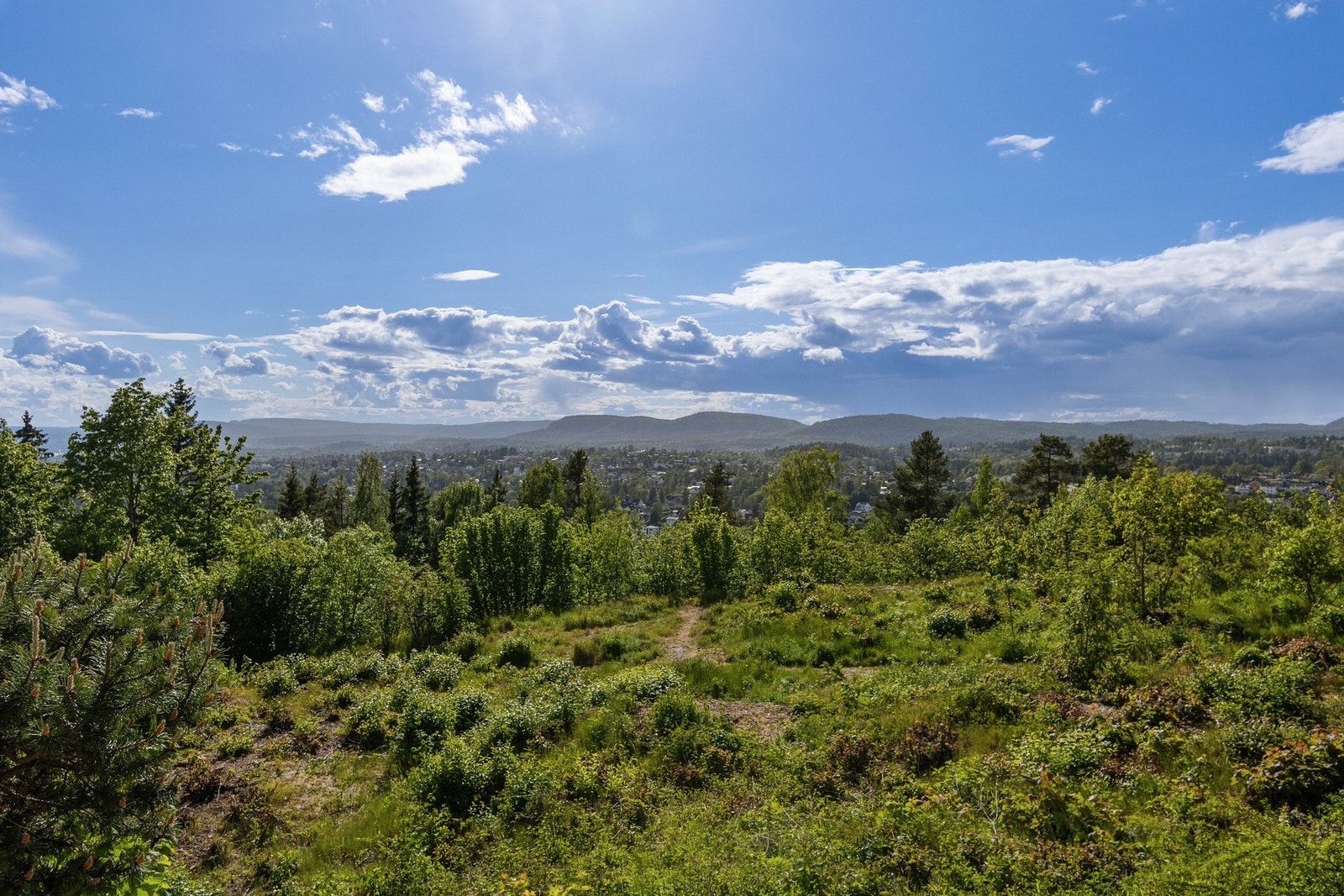 Utsikt fra soverommet mot idylliske grøntarealer. Galleribilde