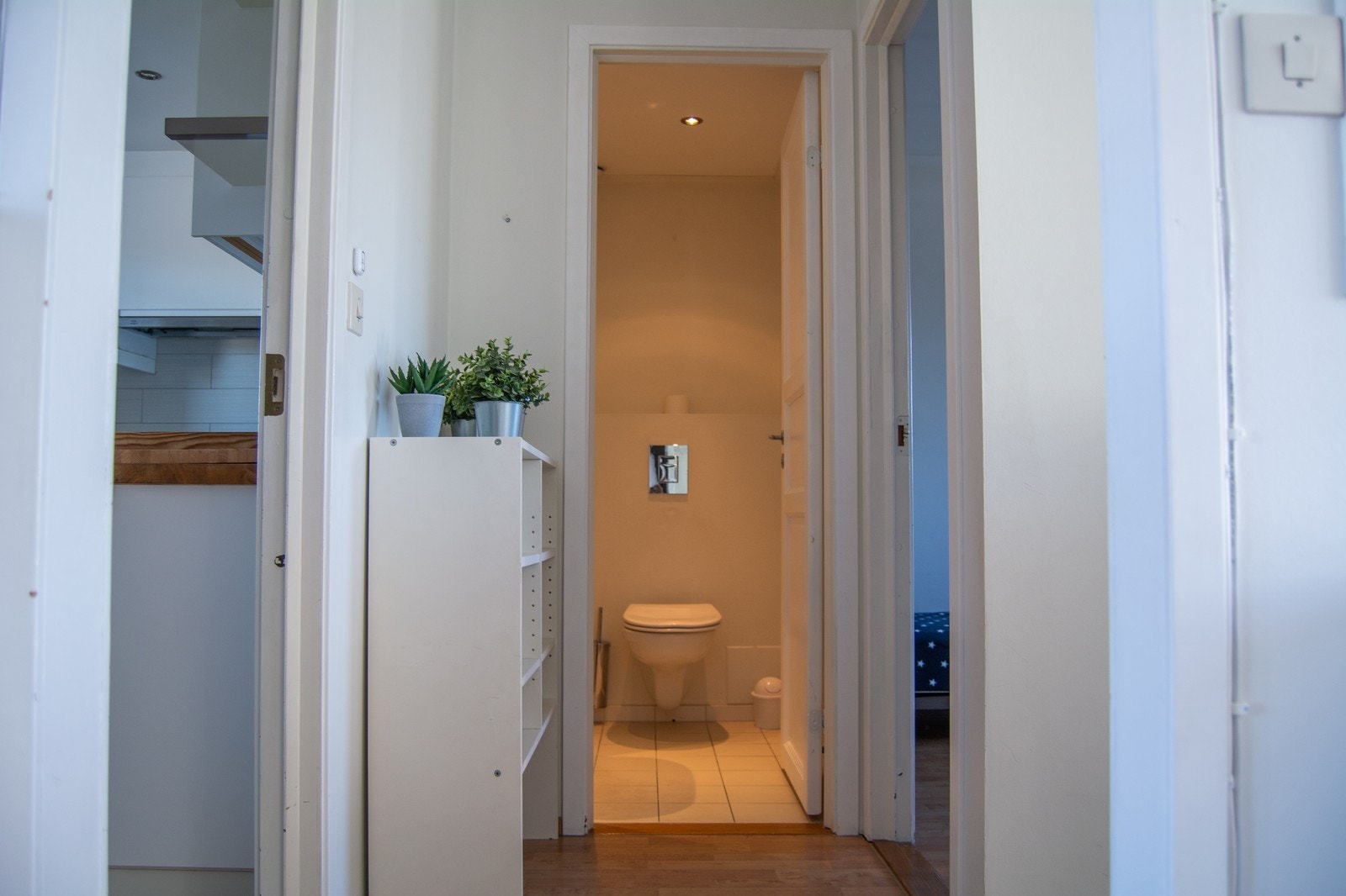 Sett billedbeskrivelse Galleribilde