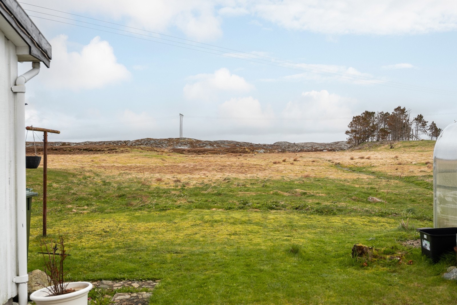 Utsikt. Galleribilde