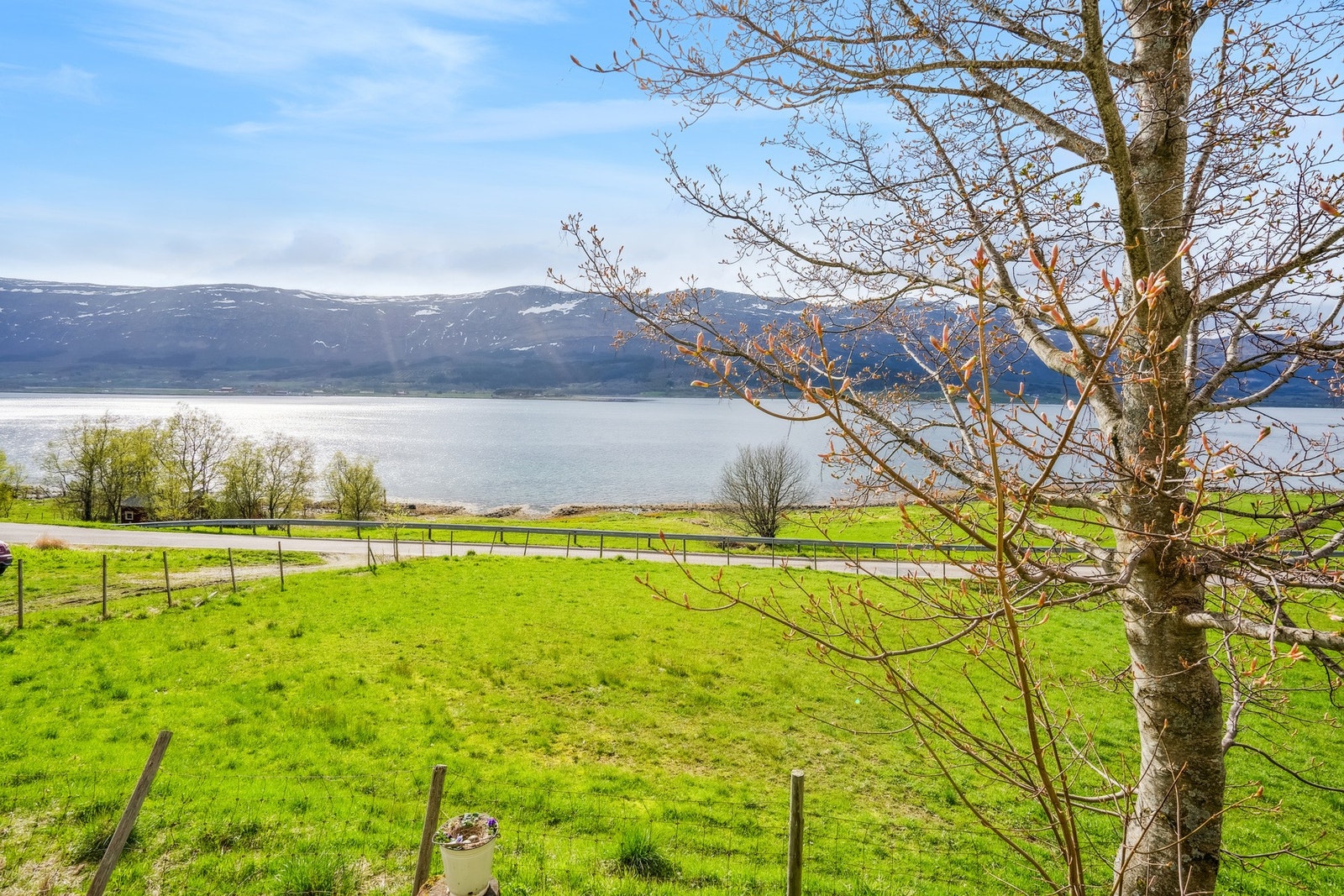 Flott utsikt Galleribilde