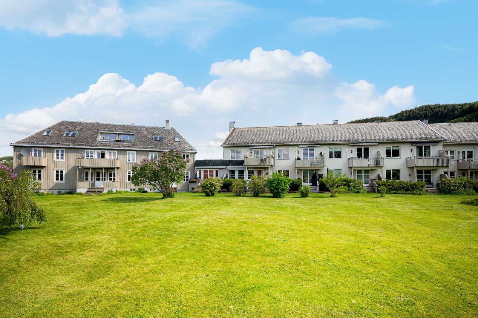 Store grøntarealer i sameie Galleribilde