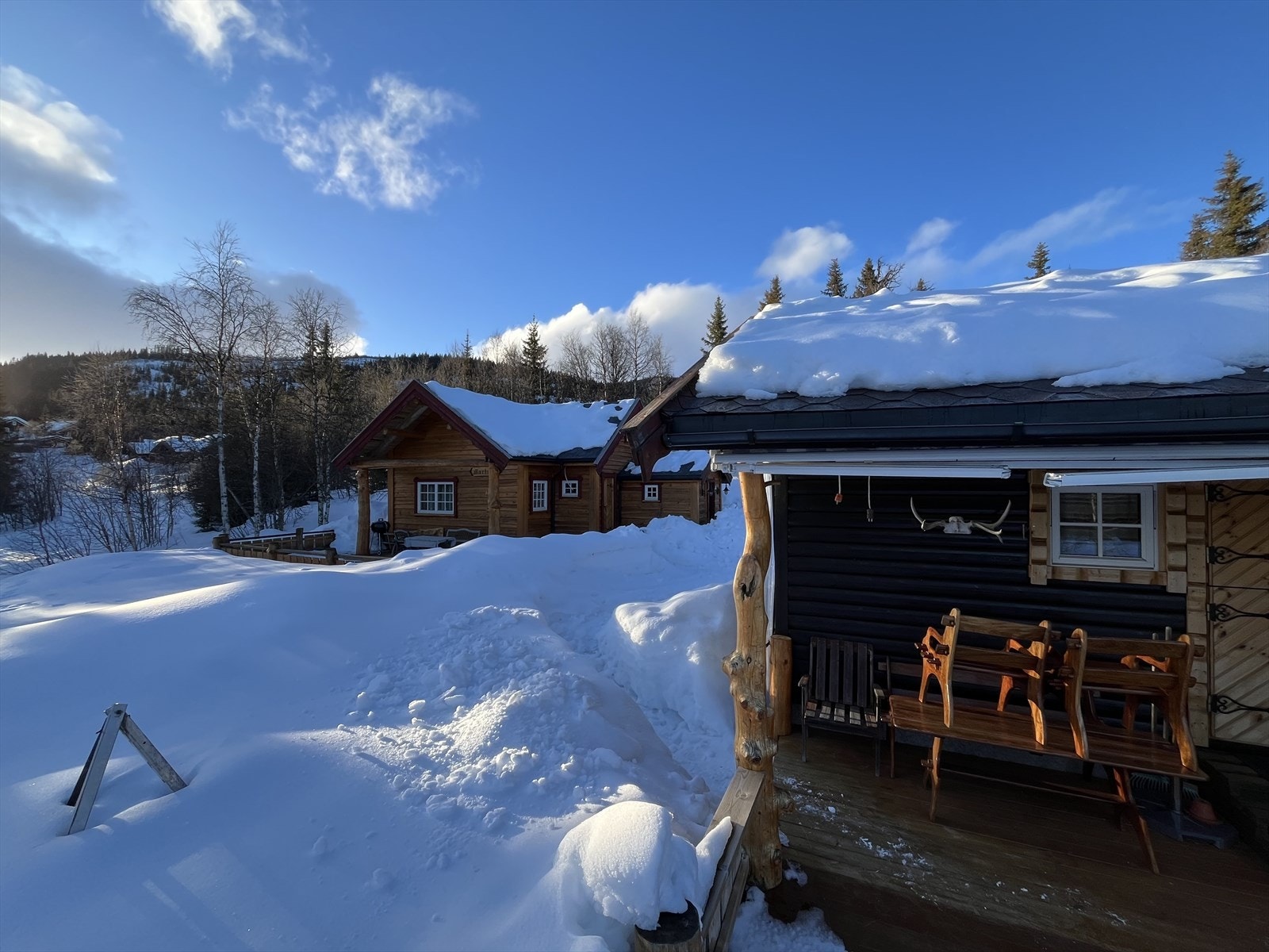 Selgers eget vinterbilde. Galleribilde