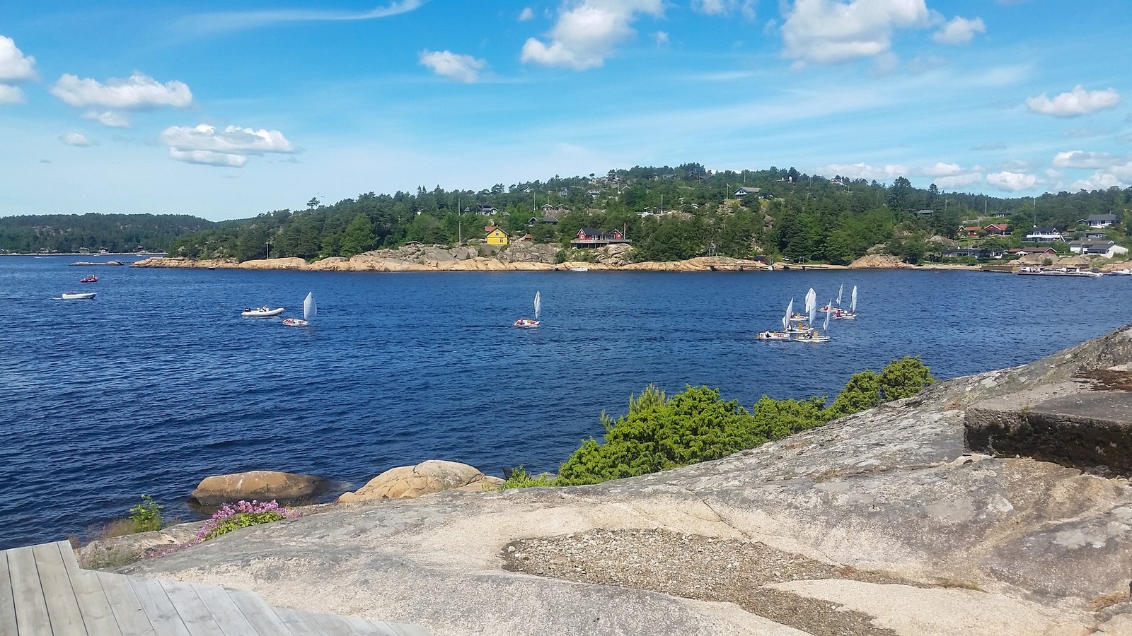 Regatta Galleribilde